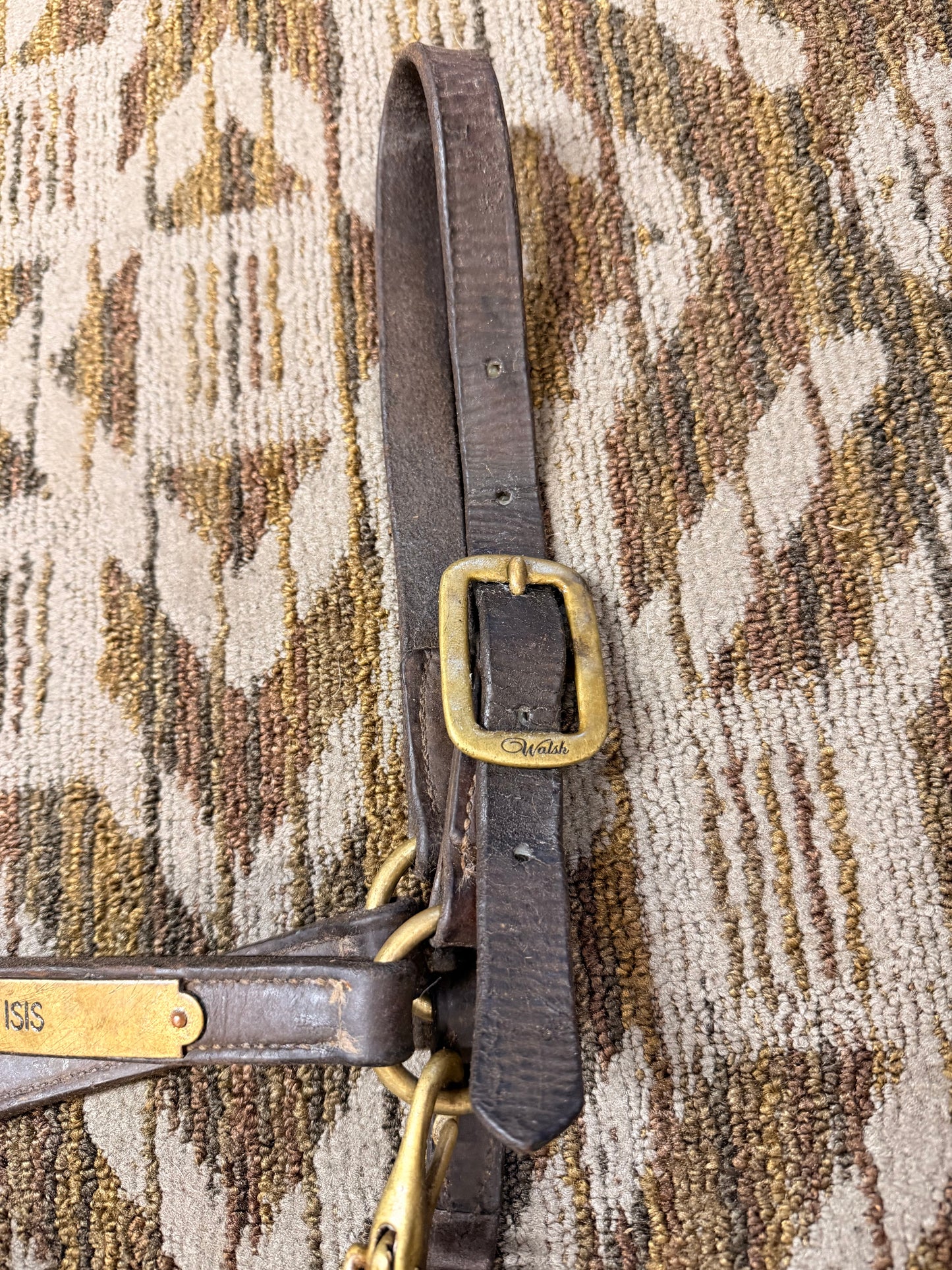 Walsh Nameplate Leather Halter