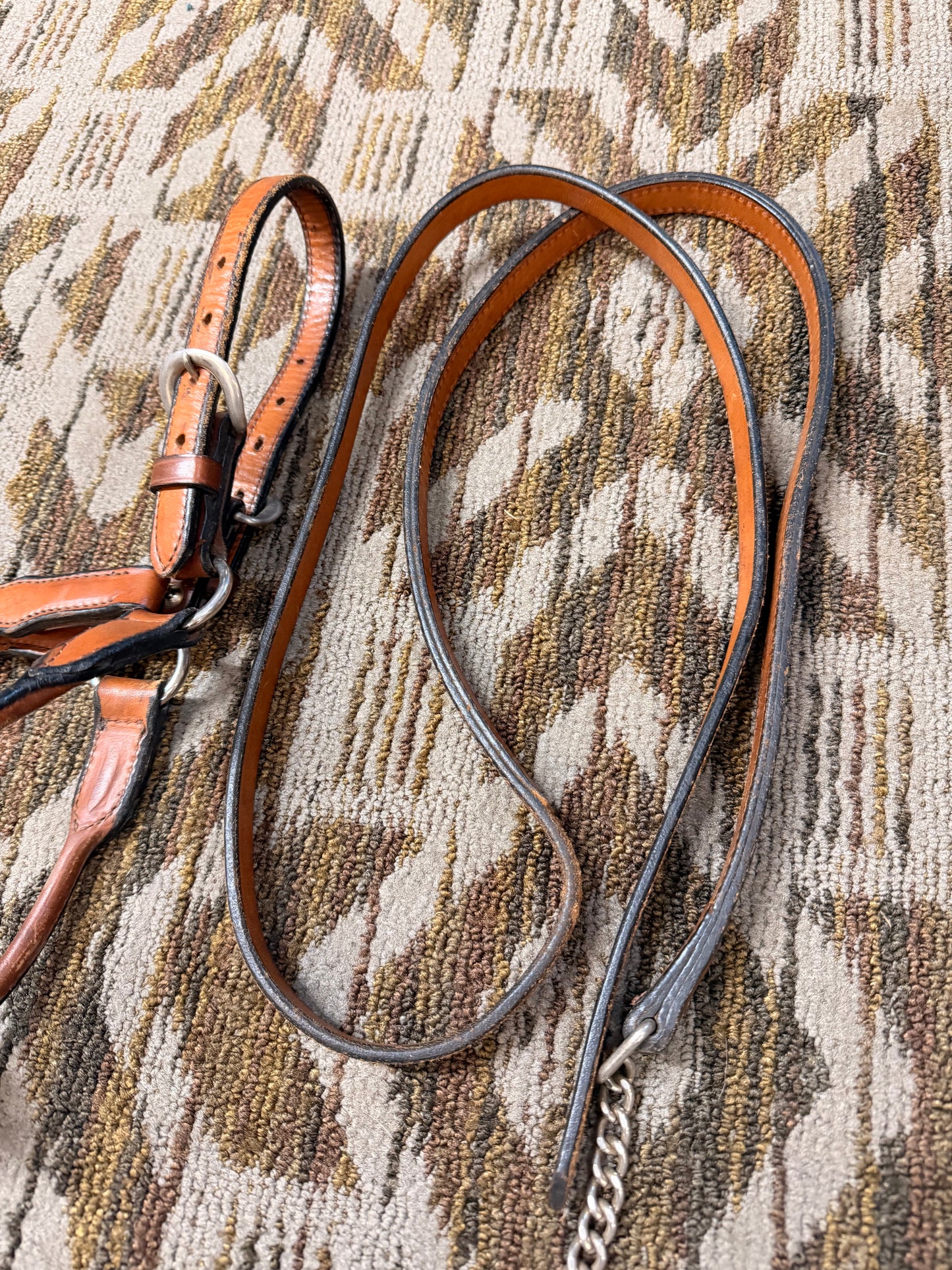 Ranch Show Halter w/ Leas