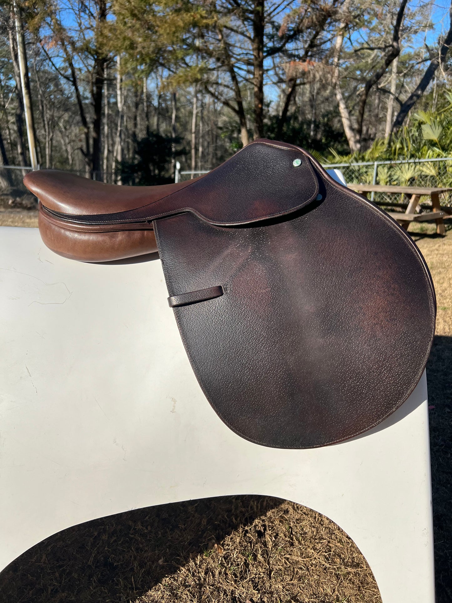 Campbell Close Contact Saddle