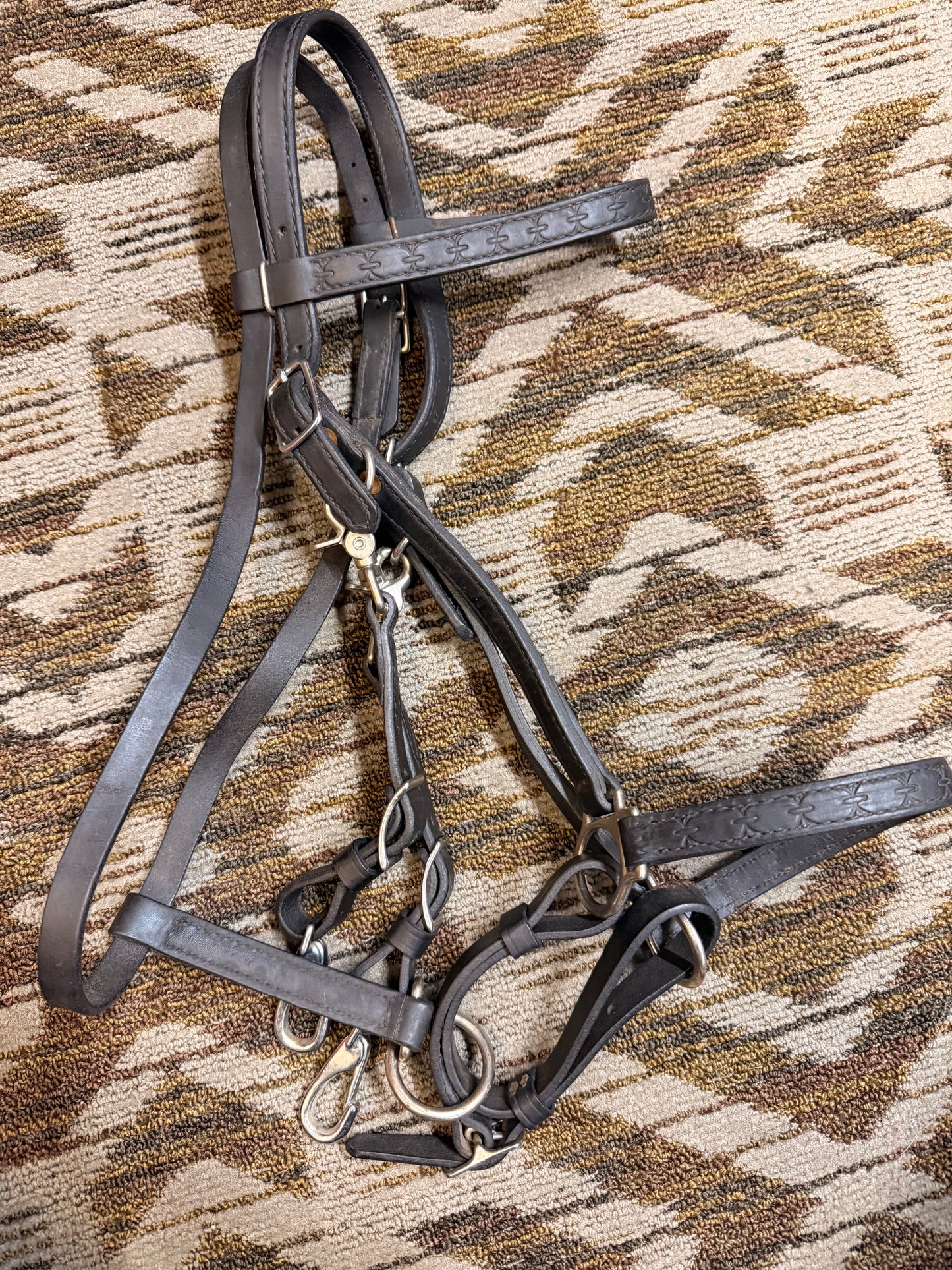 Black Circle Y Halter Bridle