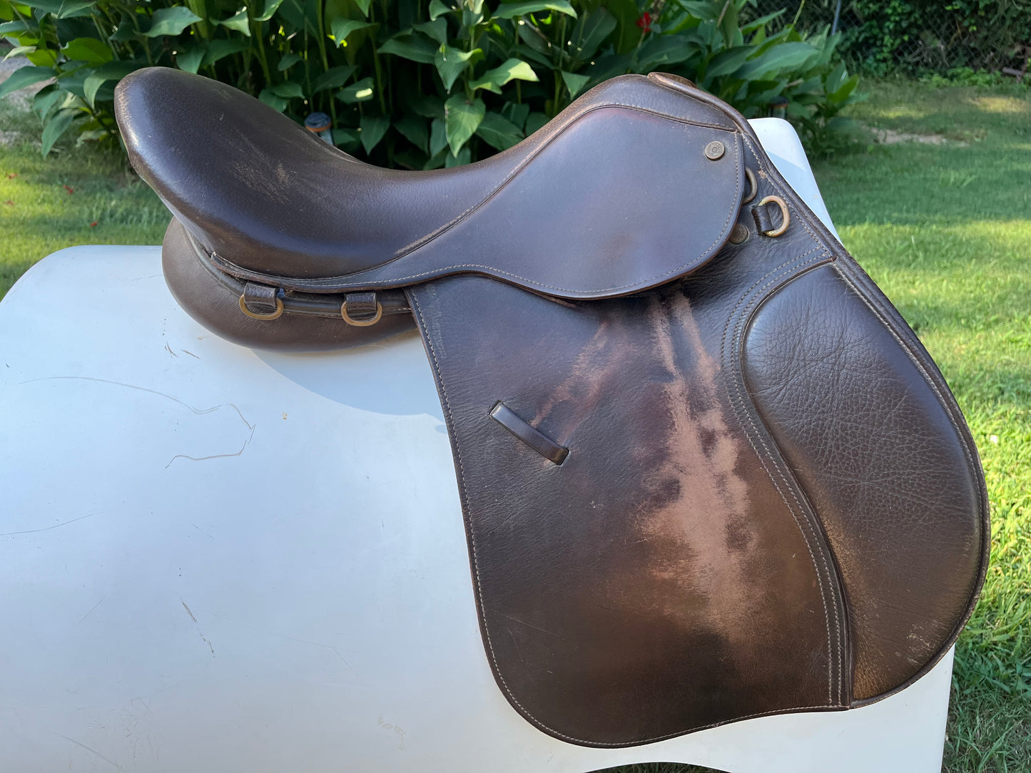 Collegiate All Purpose Saddle