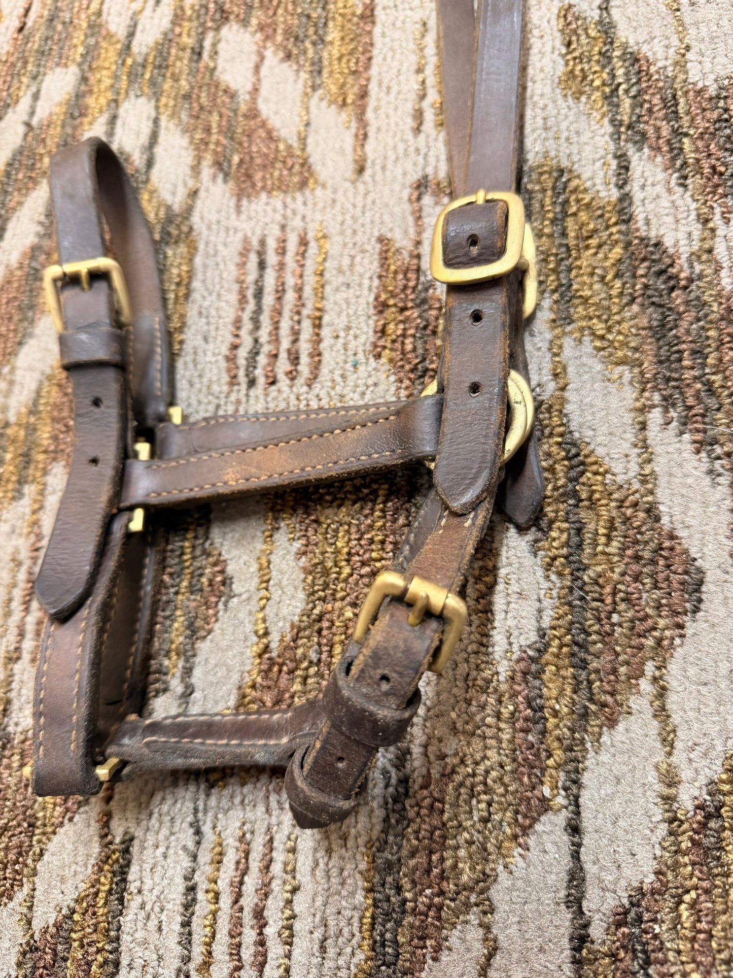 Adjustable Small Leather Halter
