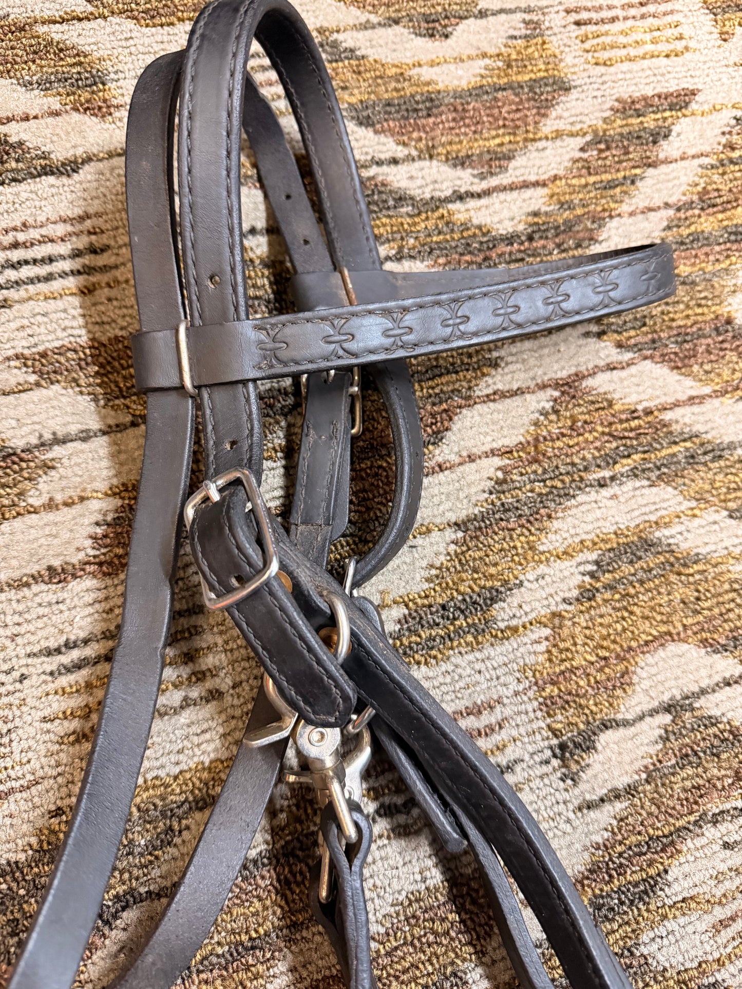 Black Circle Y Halter Bridle