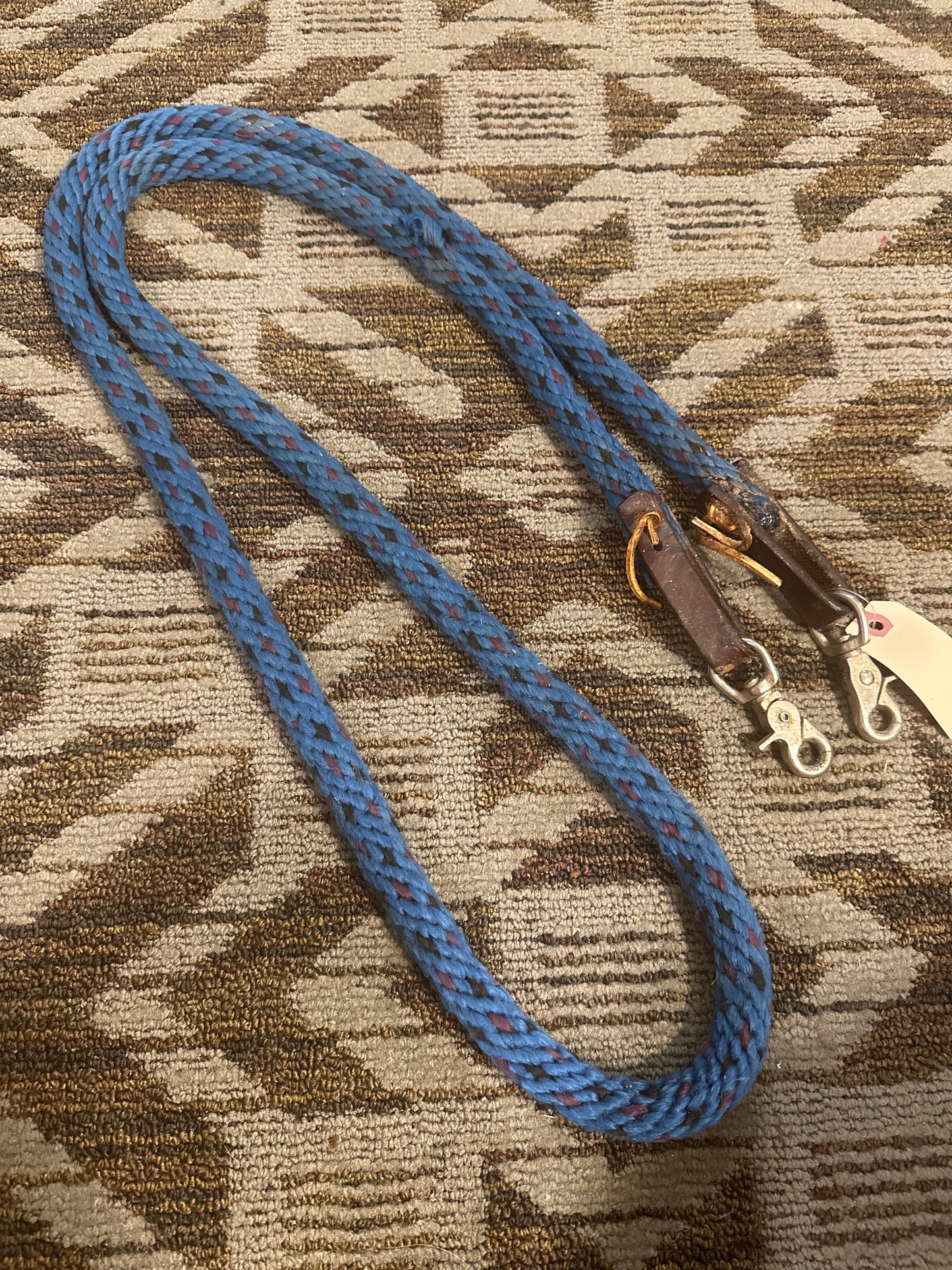 Blue Loop Reins