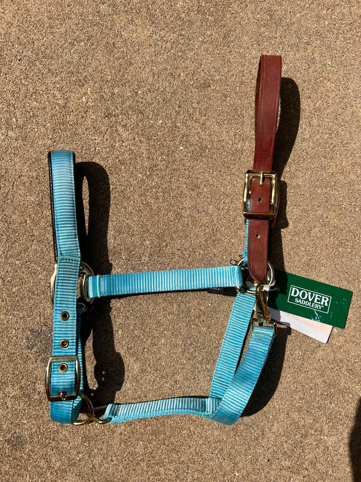 Turquoise Padded Dover Breakaway Halter - Full