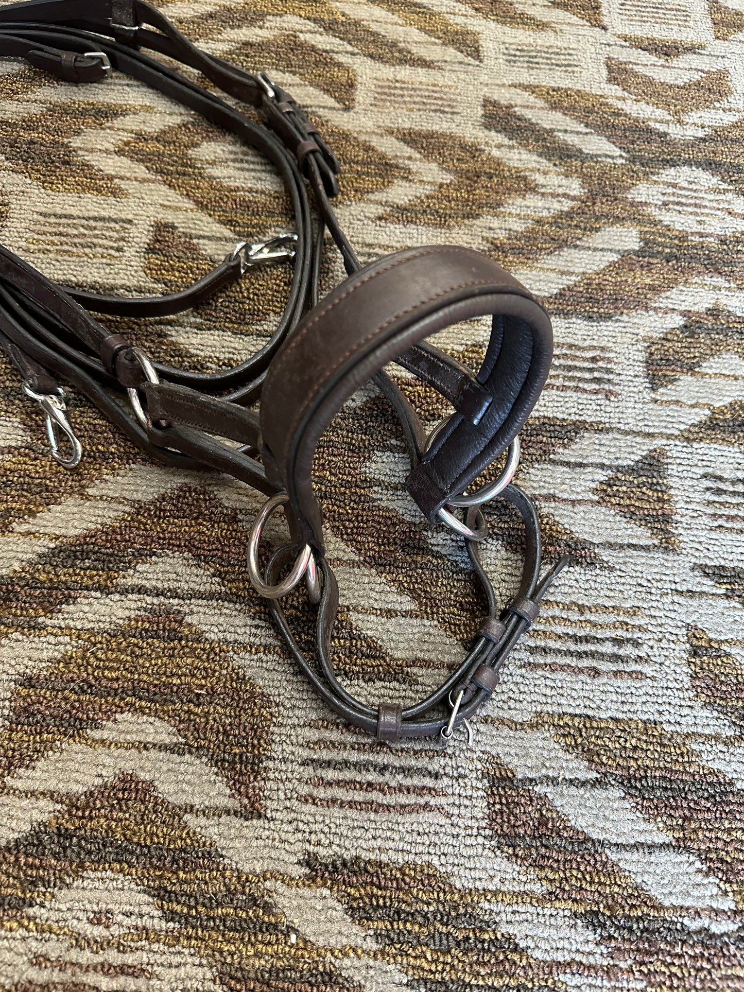Padded Bitless Bridle w/ Matching Reins
