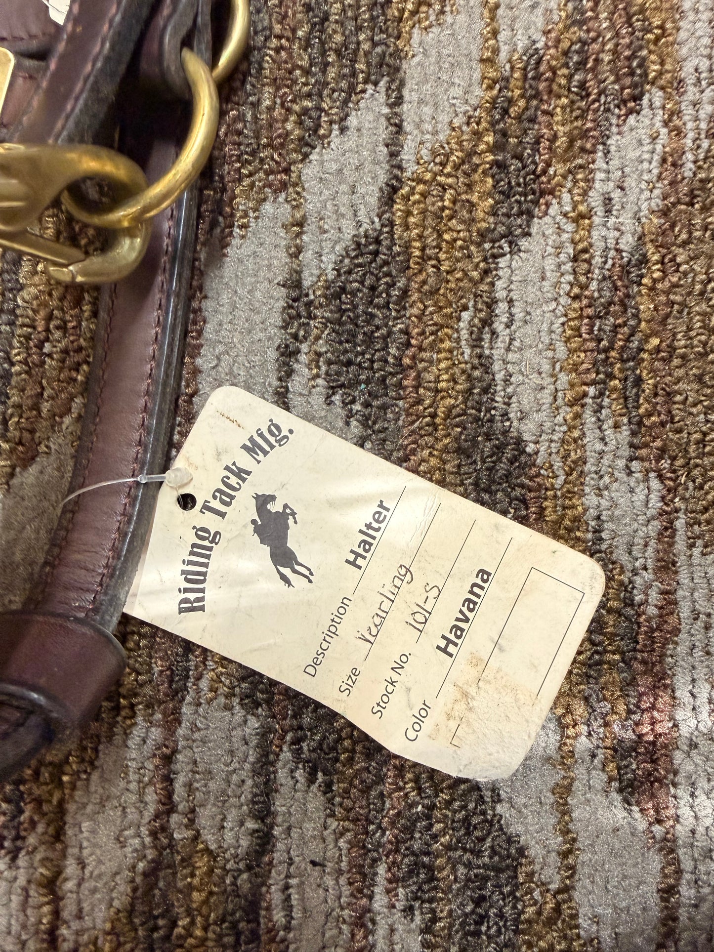 New Yearling Leather Halter w/ Nameplate