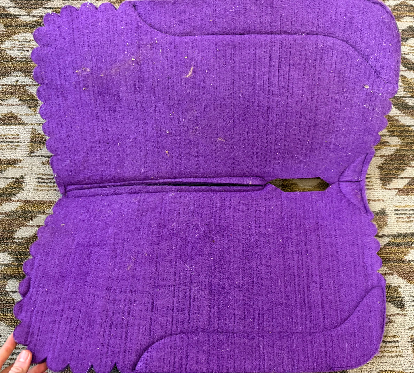 Showman Purple Pony Pad