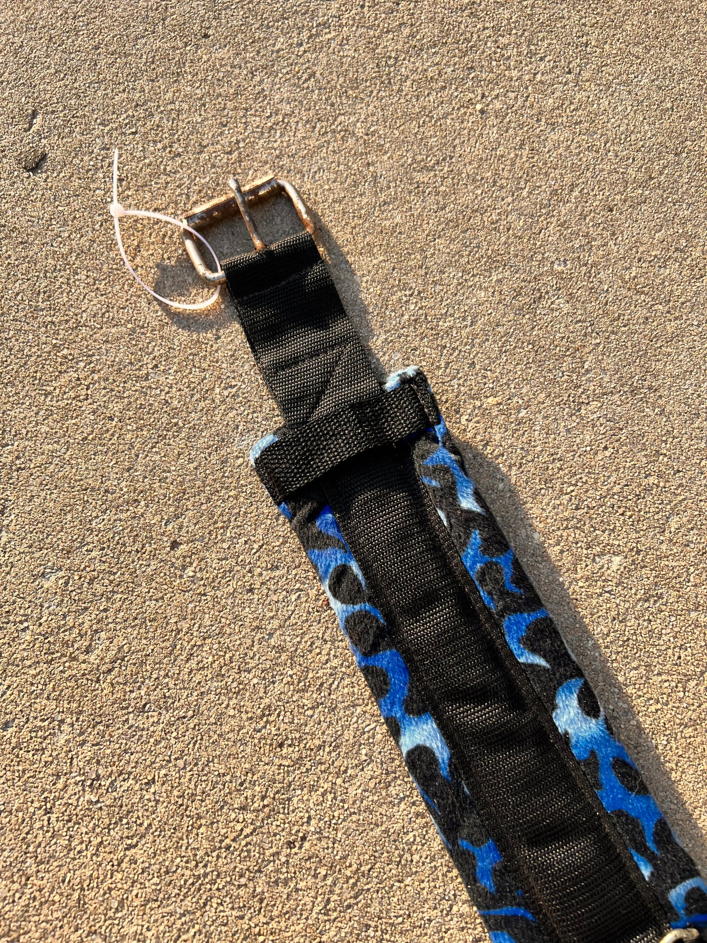 Blue Flame Back Cinch - 33”