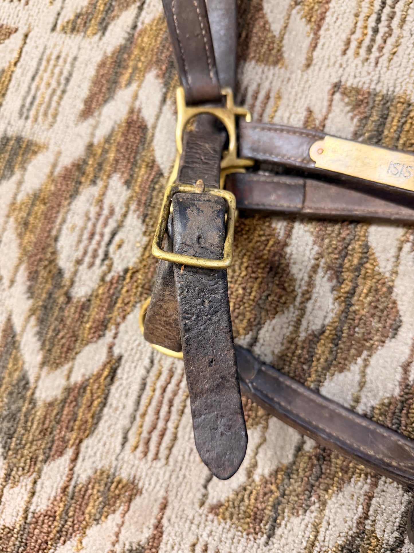 Walsh Nameplate Leather Halter