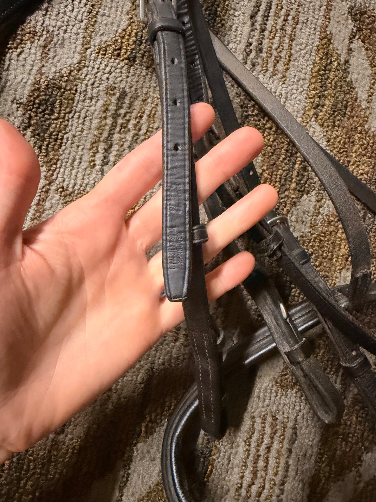 Passier Dressage Bridle