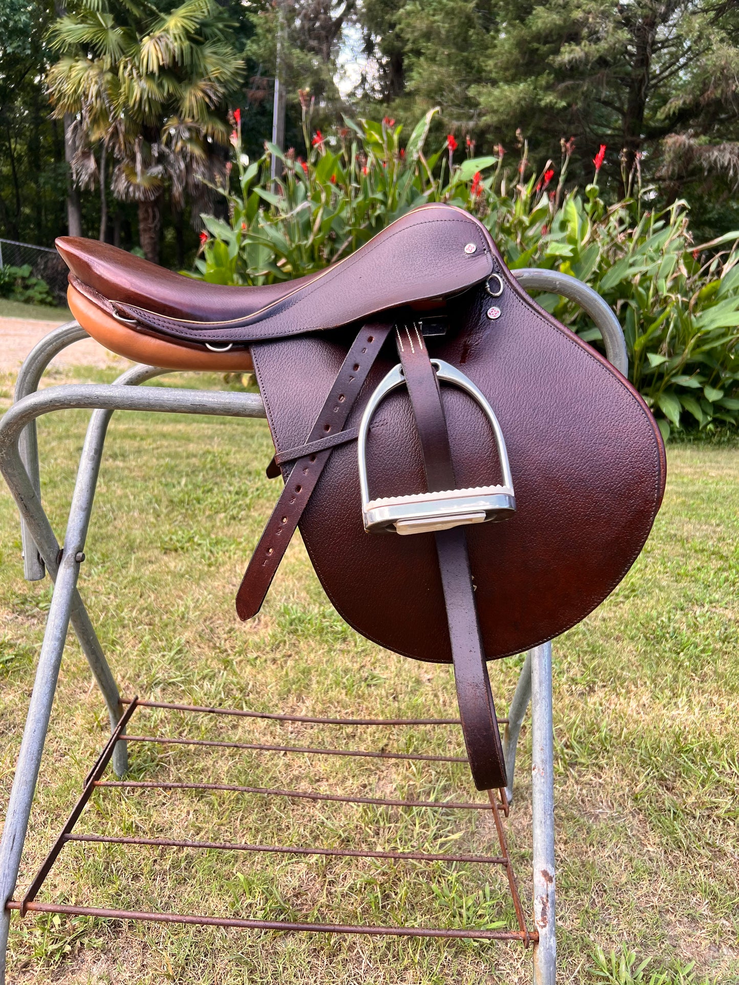 Courbette Derby Close Contact Saddle