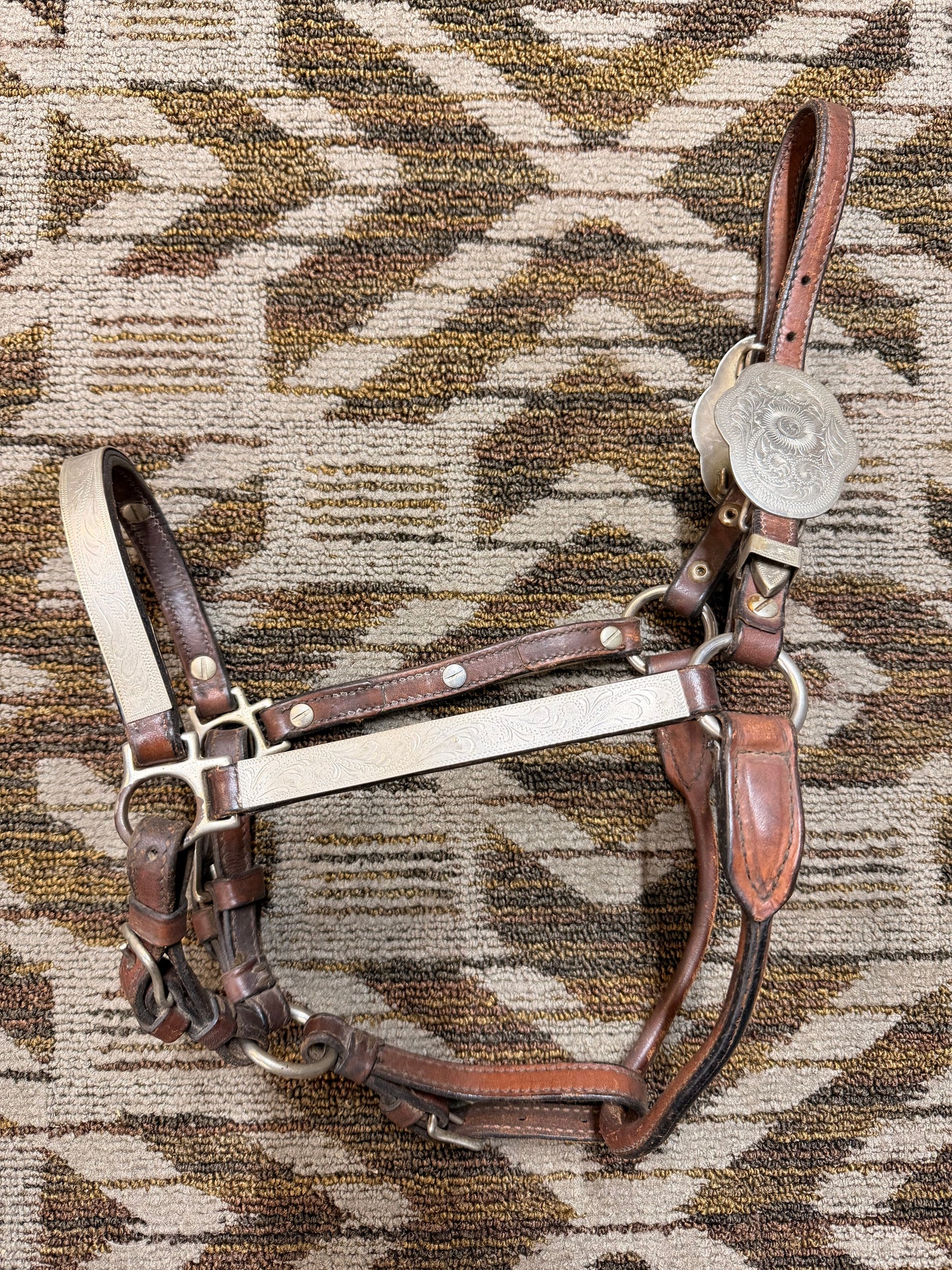 Circle Y Silver Show Halter