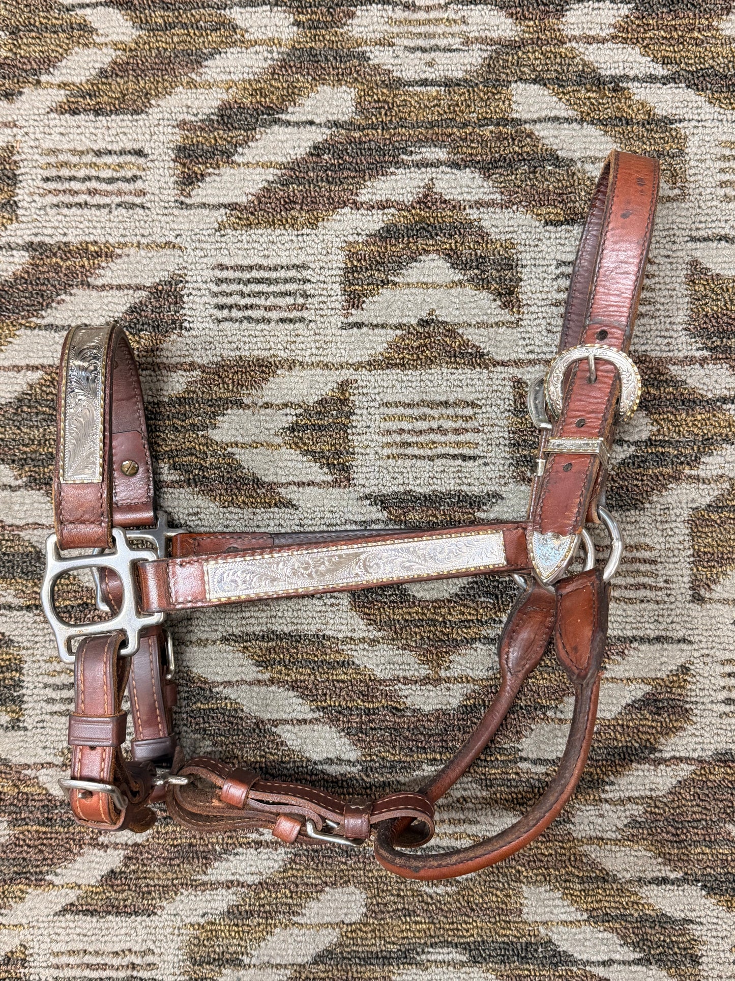 Circle Y Silver Show Halter