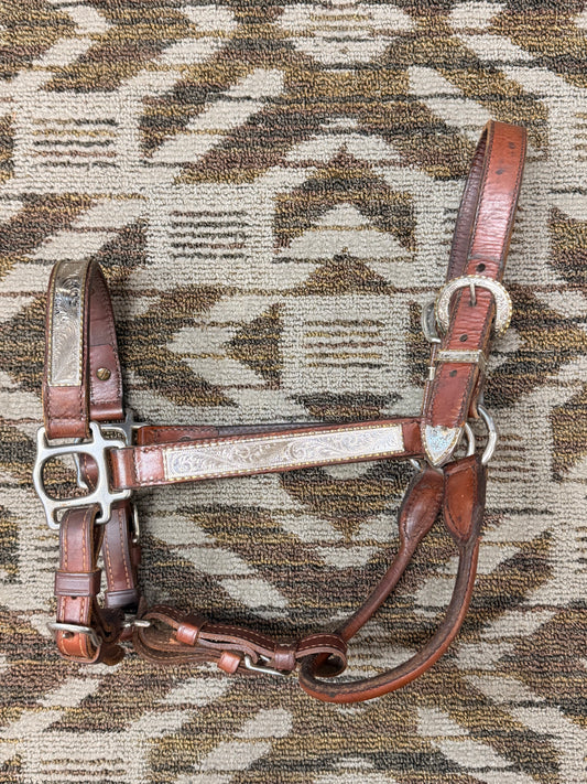 Circle Y Silver Show Halter