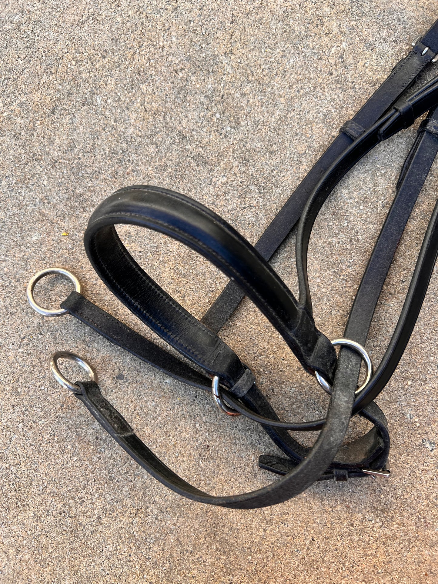 Dr. Cook Black Bitless Bridle