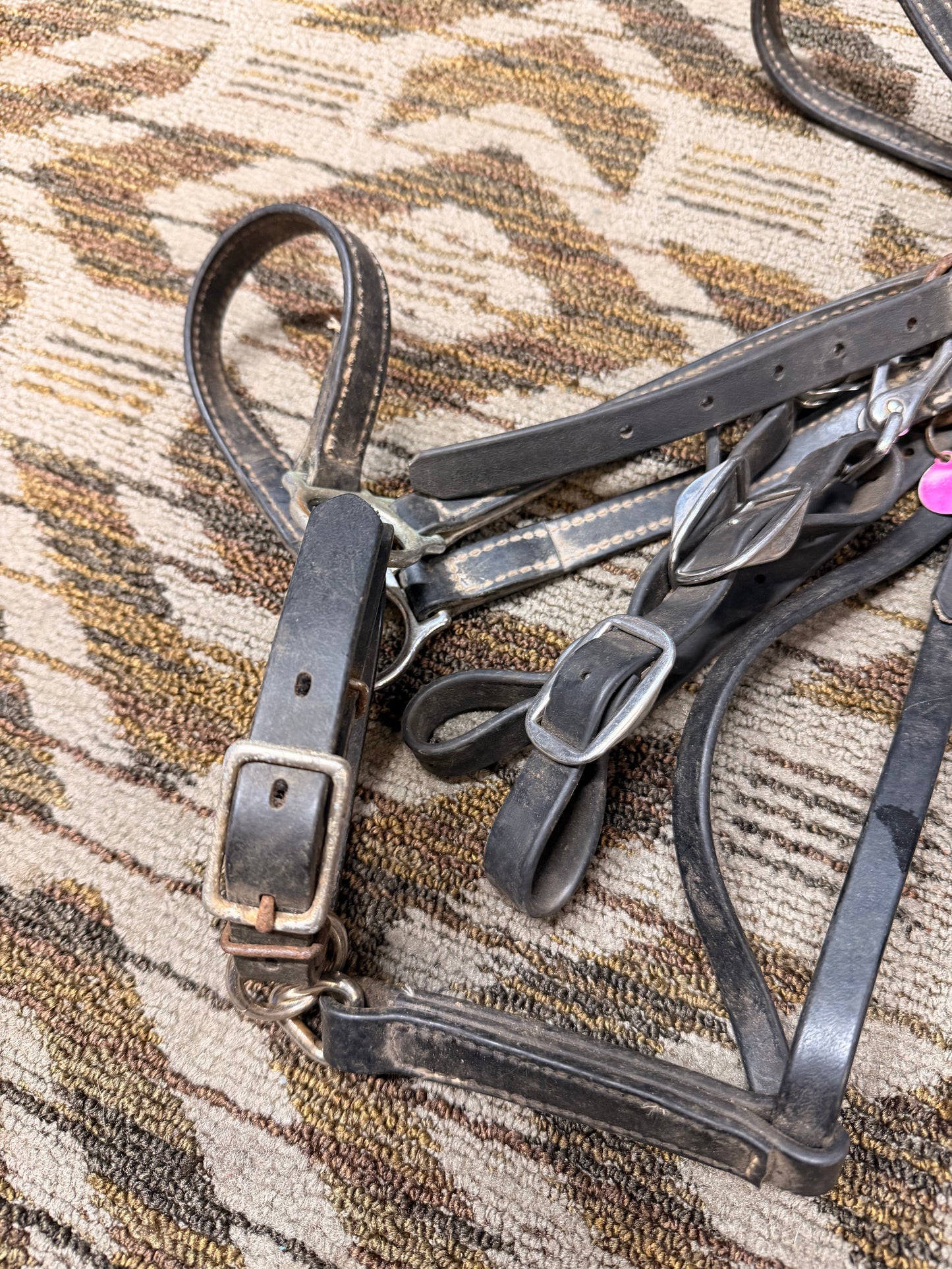 Black Biothane Halter Bridle