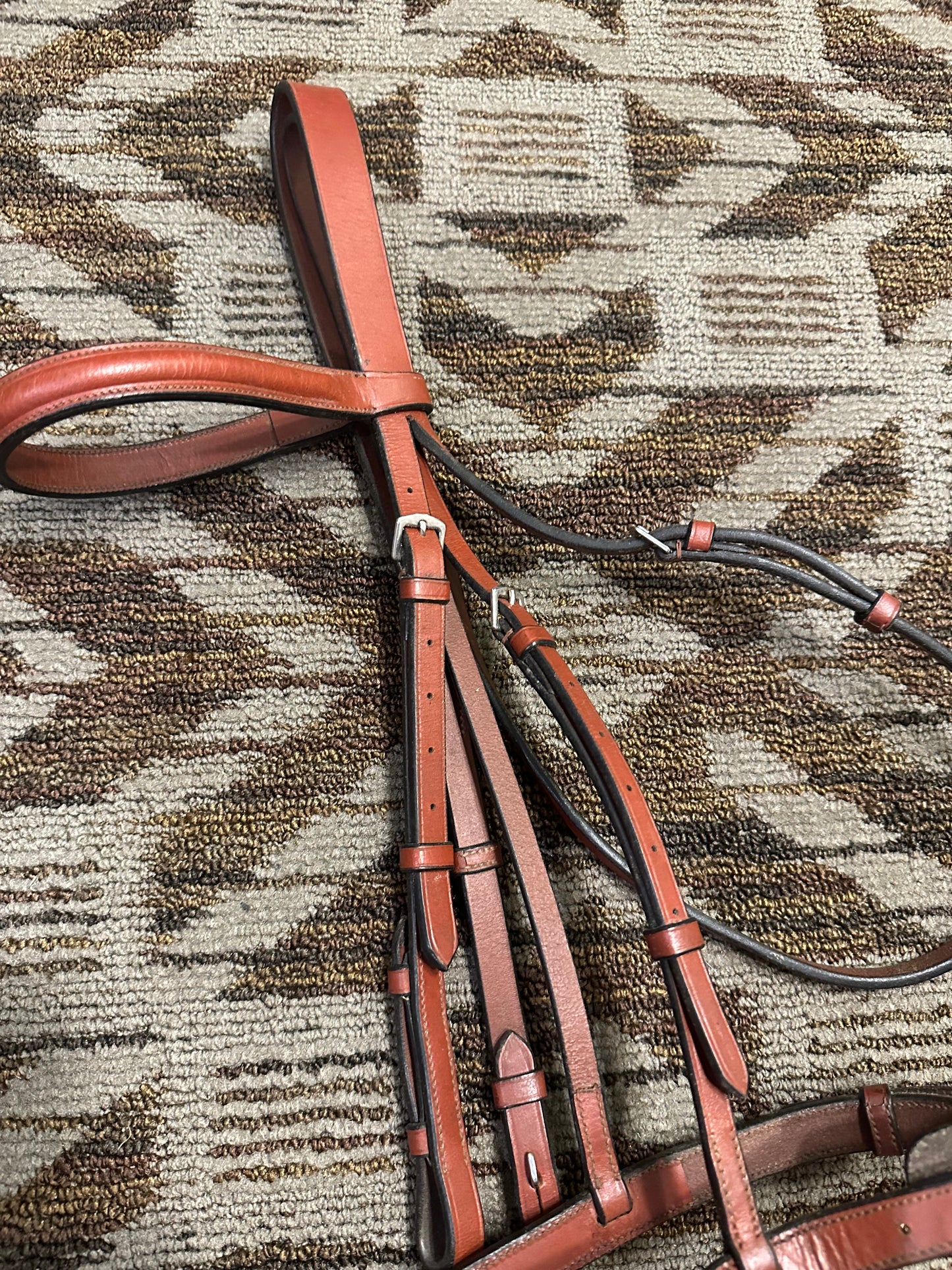 Red Leather Bridle