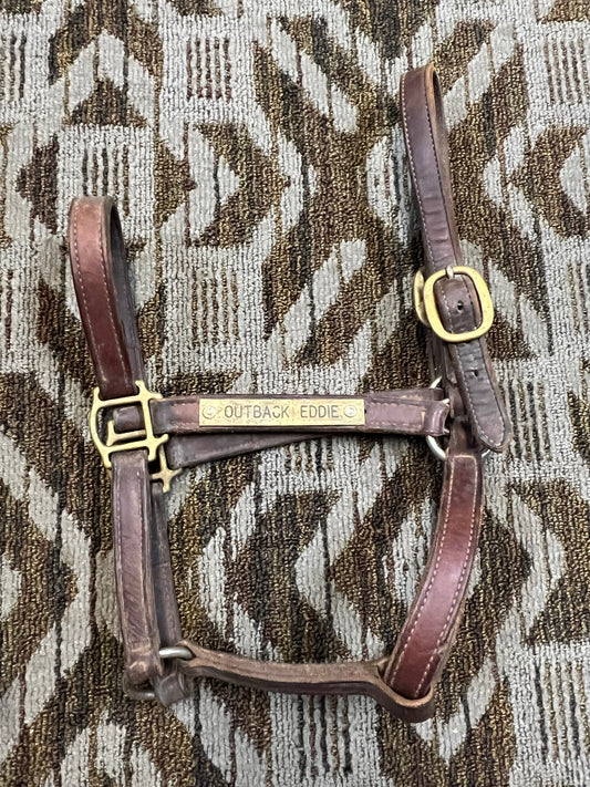 Leather Nameplate Halter