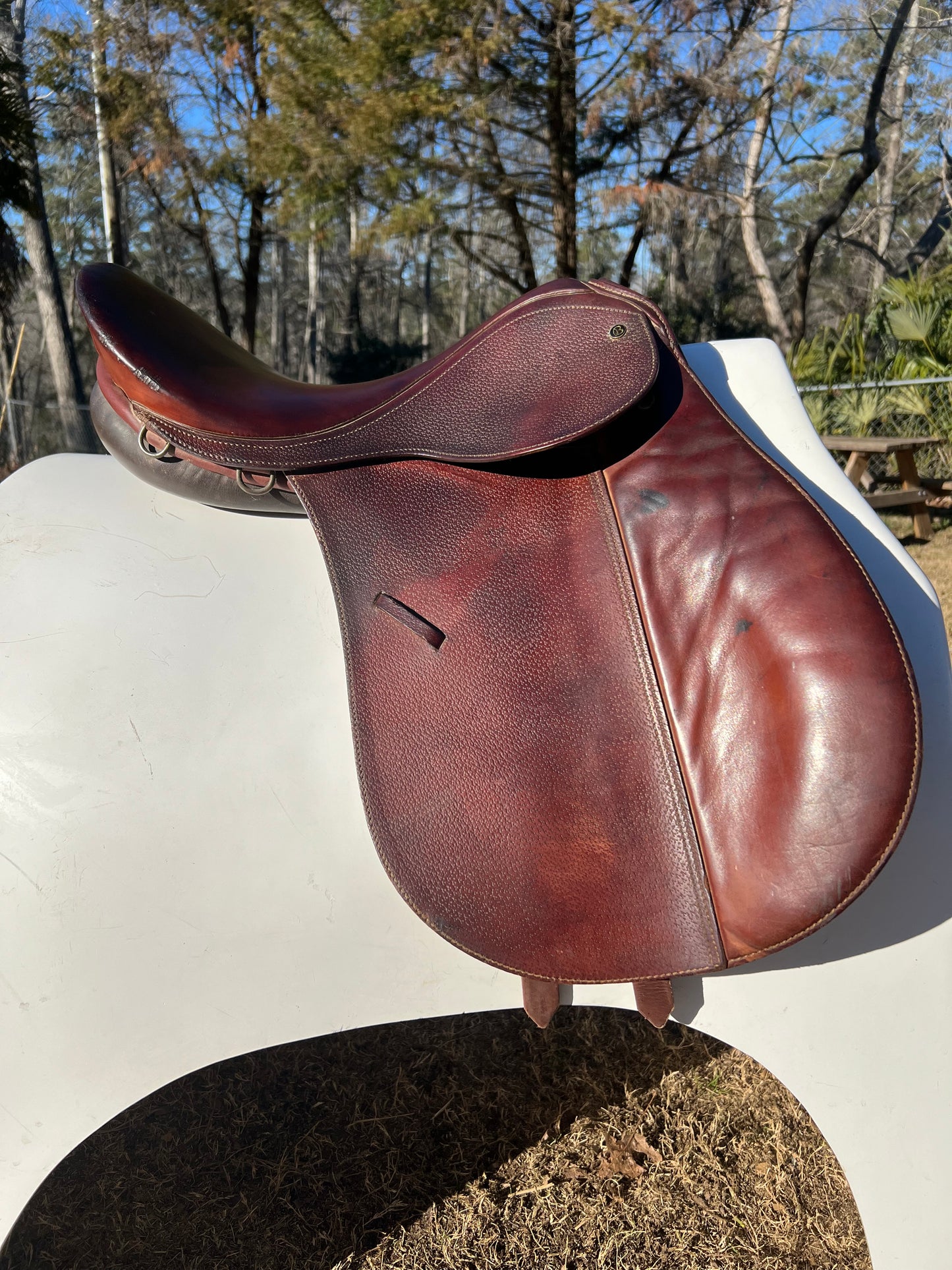 Caprilli by Bates All Purpose Saddle