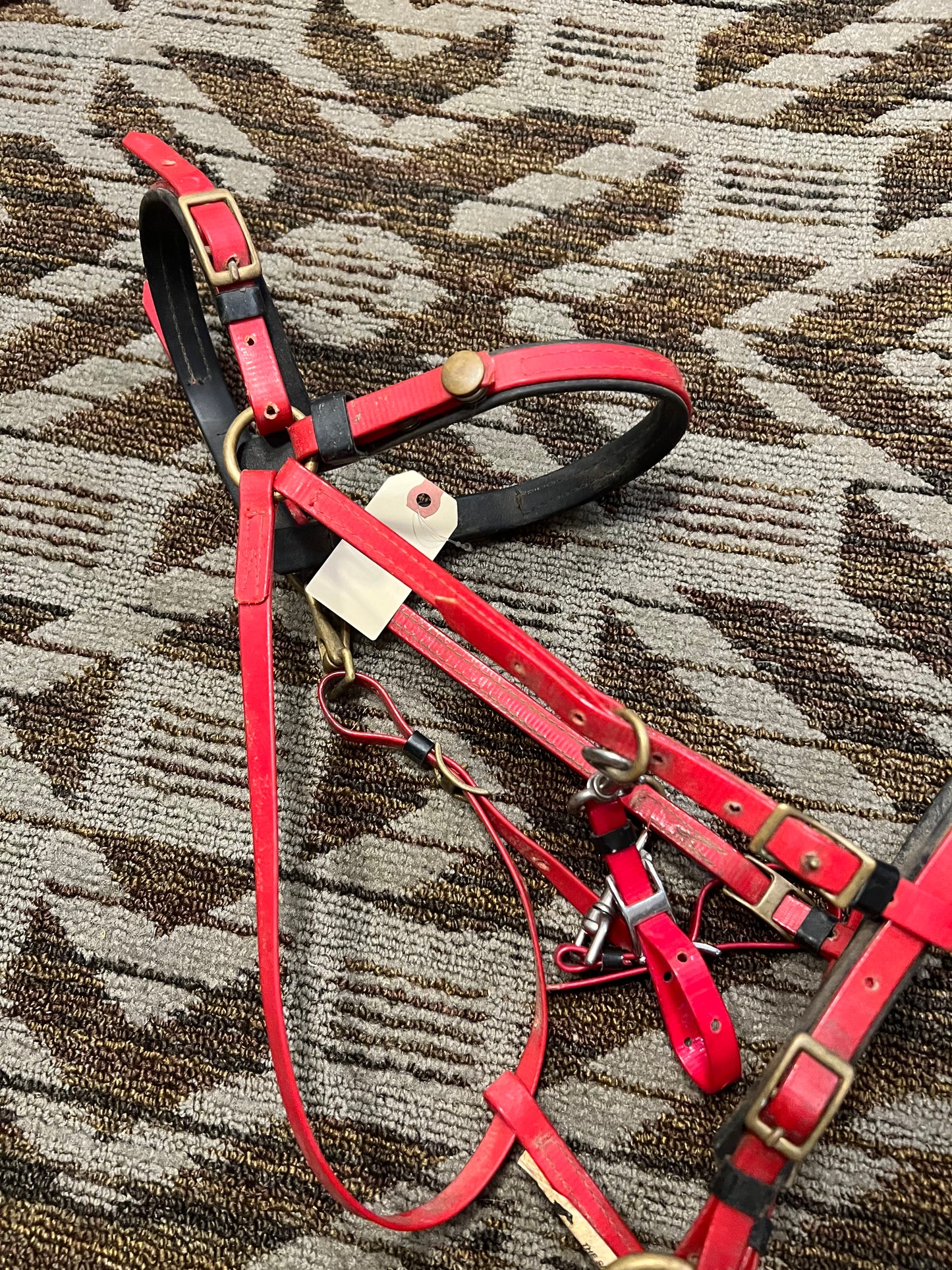 Red Biothane Halter Bridle “The Smart Bridle”