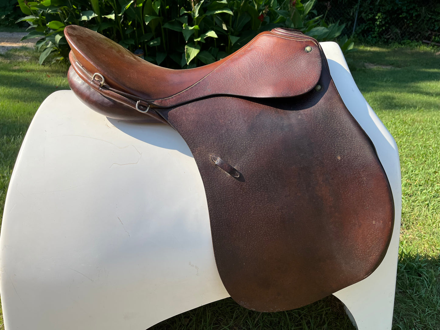Hannover Dressage Saddle