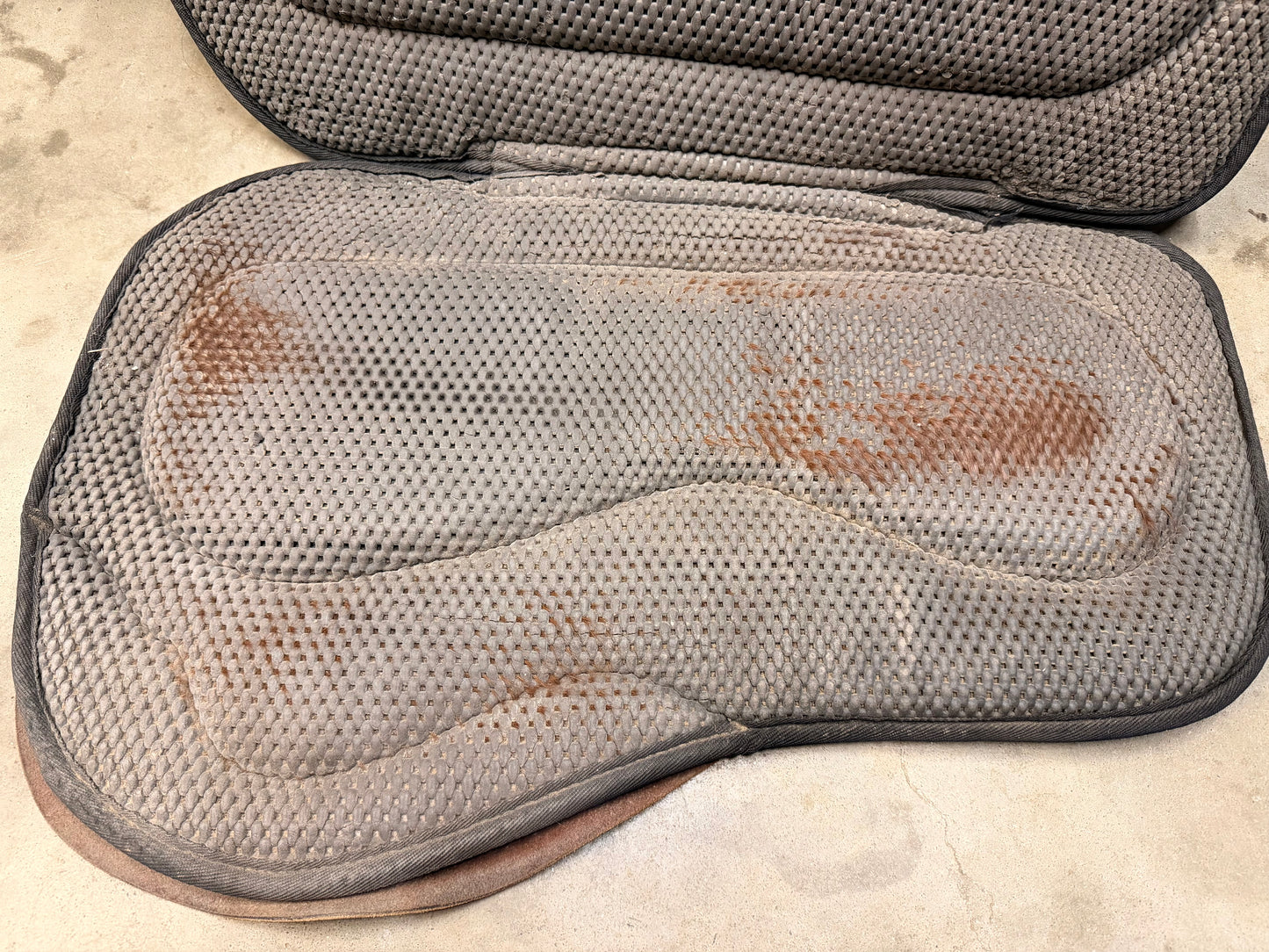 Circle Y Tacky Too Long Contoured Pad