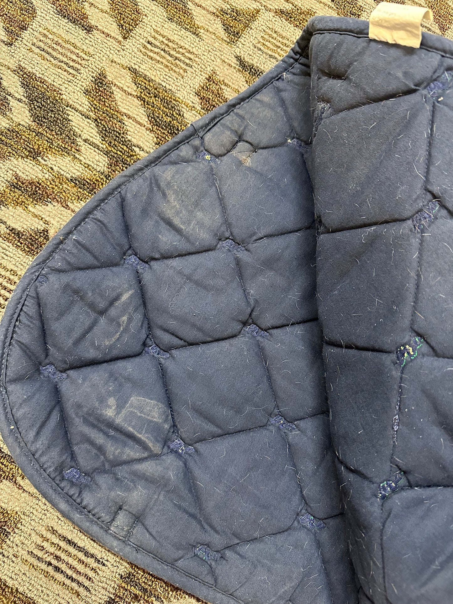 Centaur Turtle Patterned Jump Pad