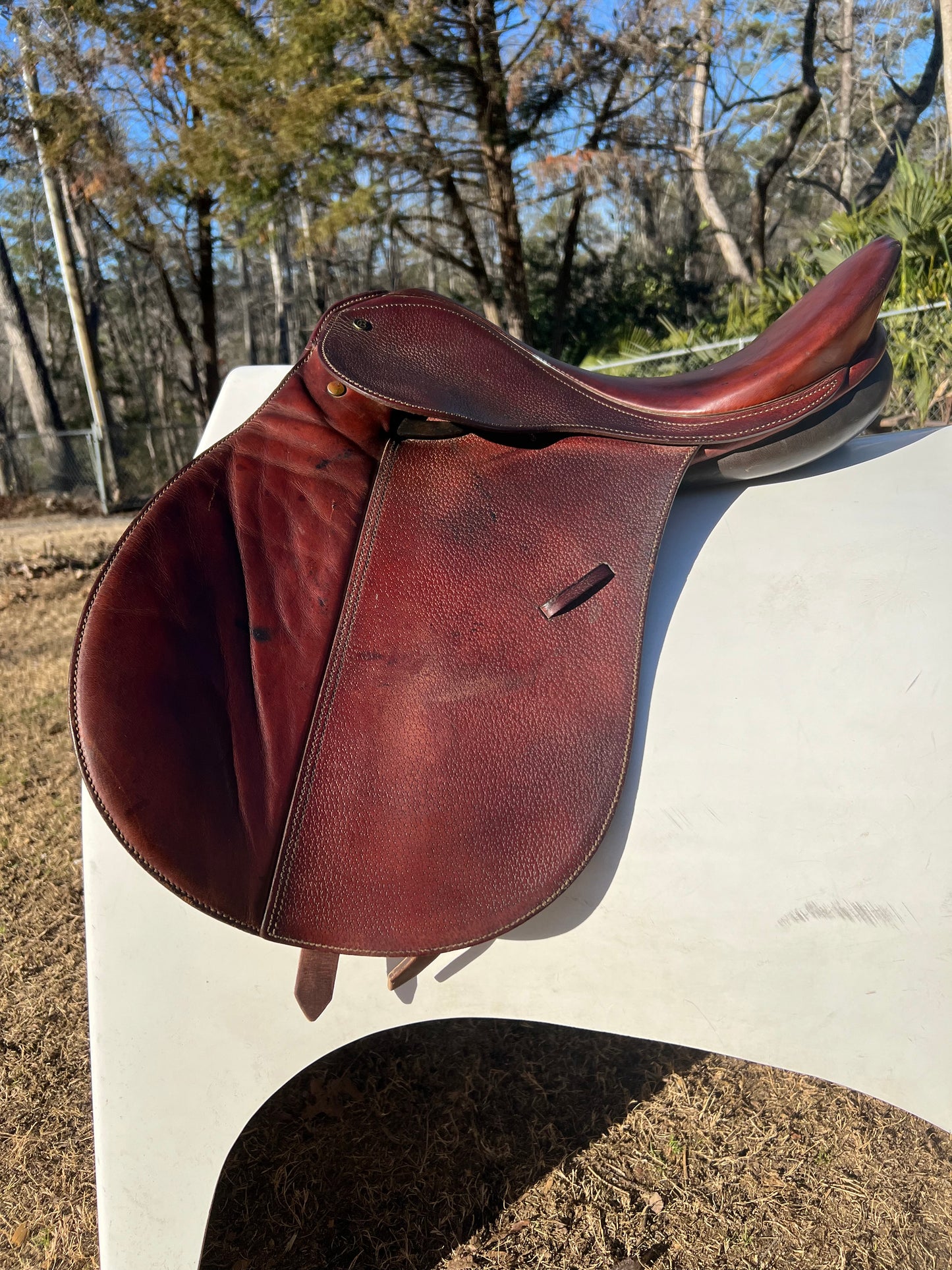 Caprilli by Bates All Purpose Saddle