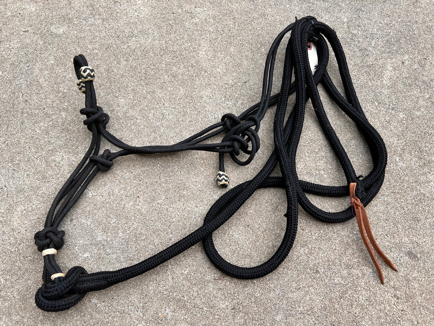 Black Rope Halter w/ Matching Lead - Standard