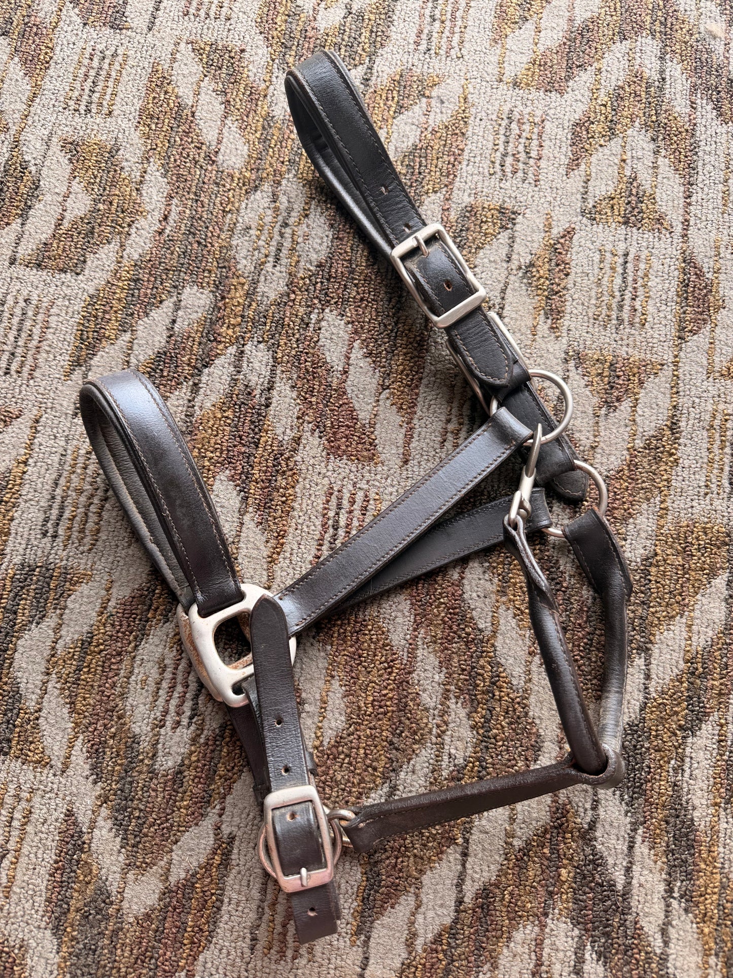 Brown Padded Leather Halter
