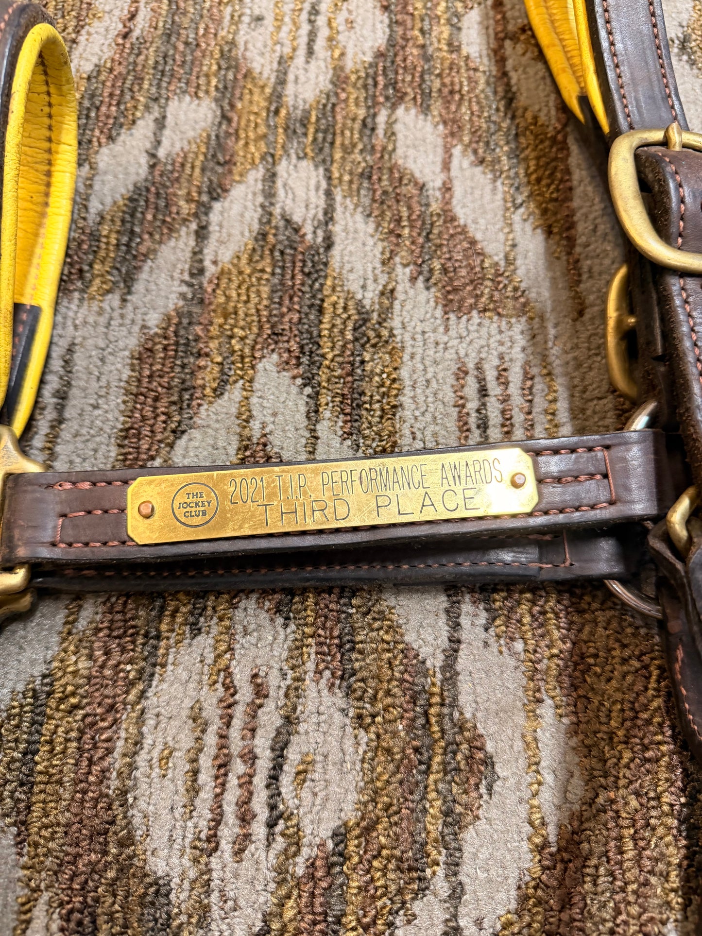 Central KY Maker Full Yellow Padded Leather Halter