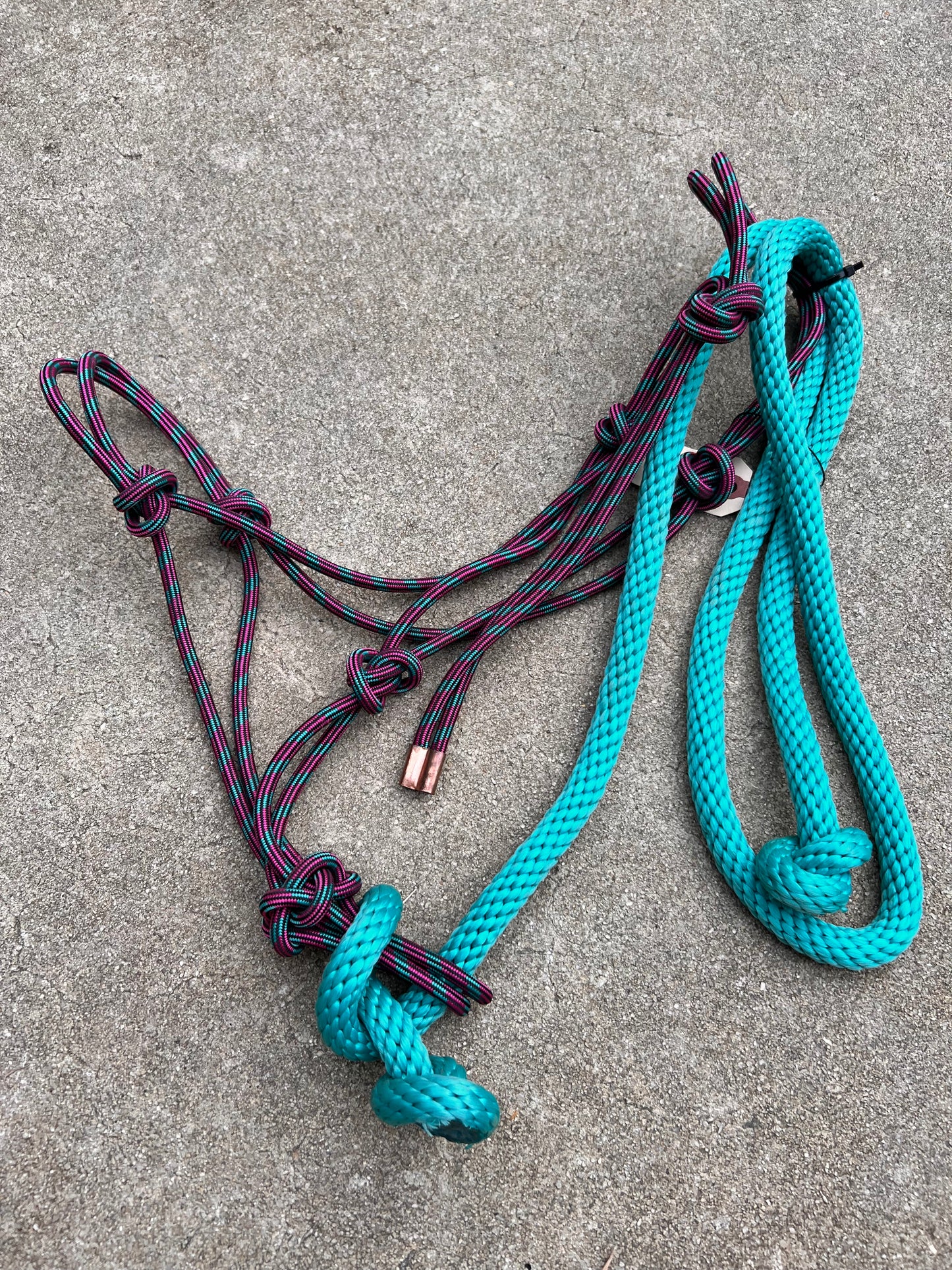 Purple/Teal Rope Halter w/ Matching Lead - Standard