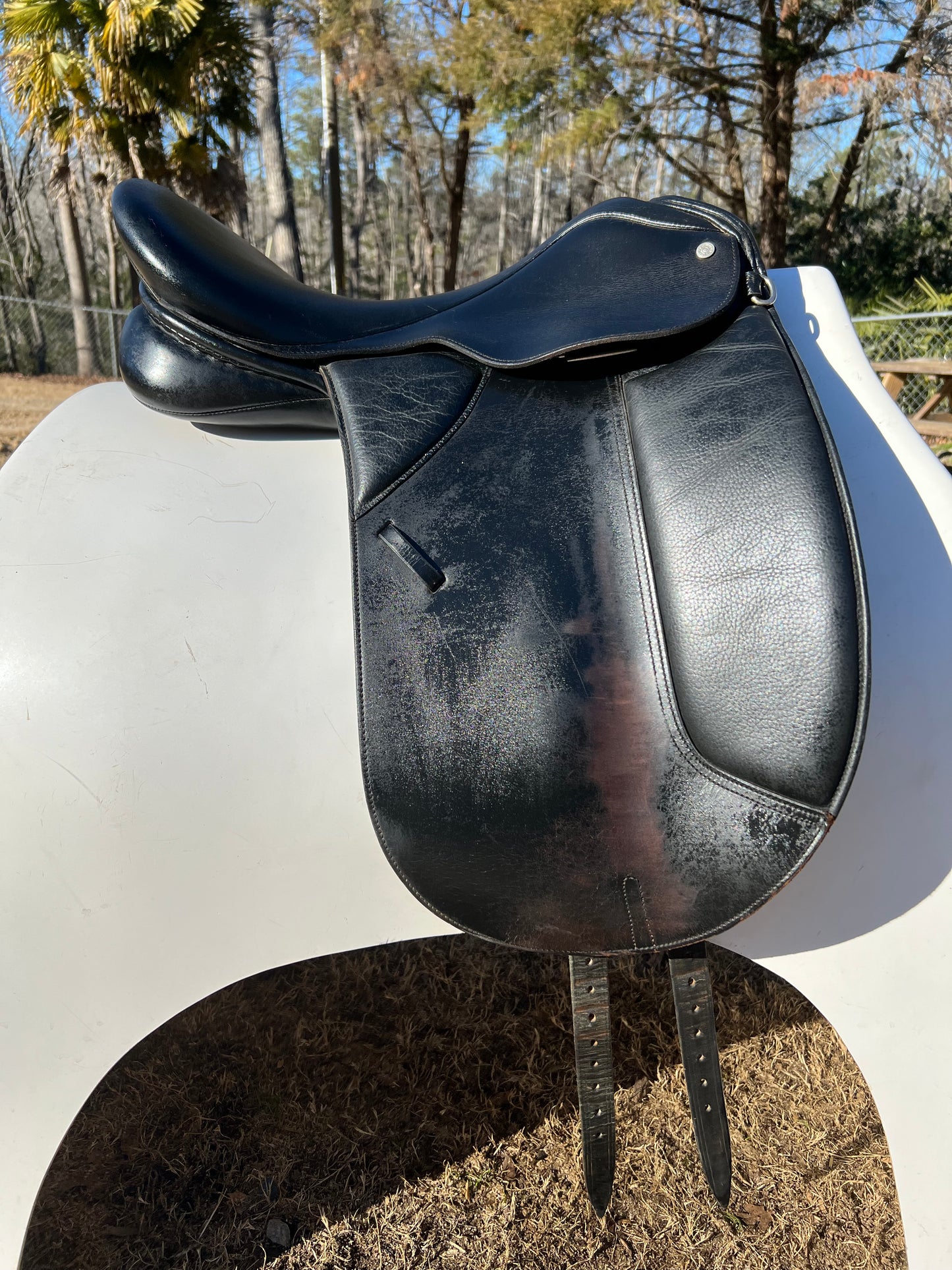 Collegiate Dressage Saddle