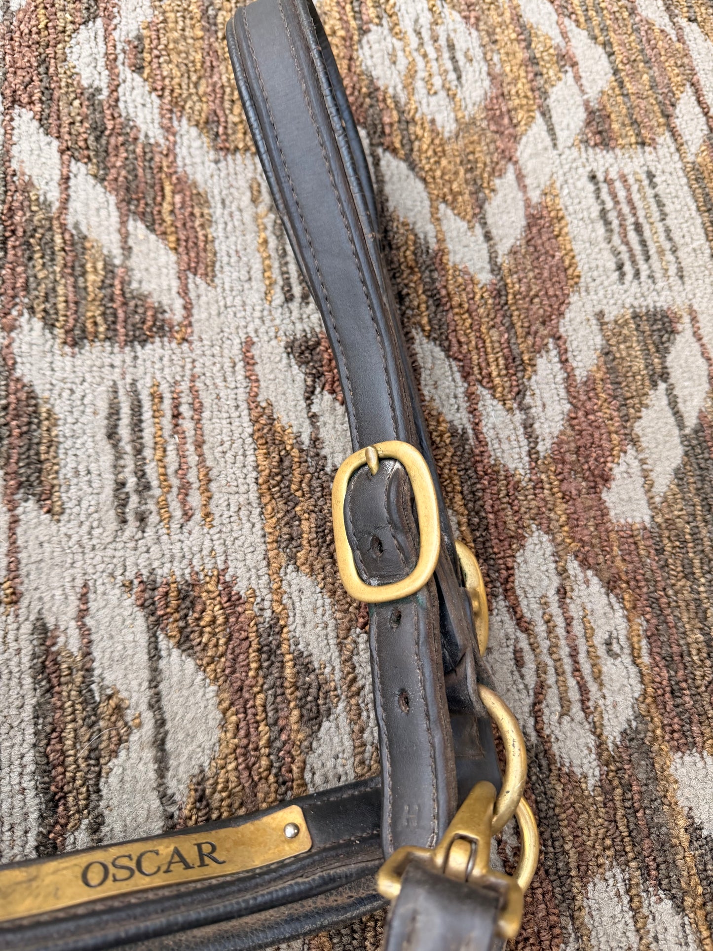 Padded Horse Nameplate Halter
