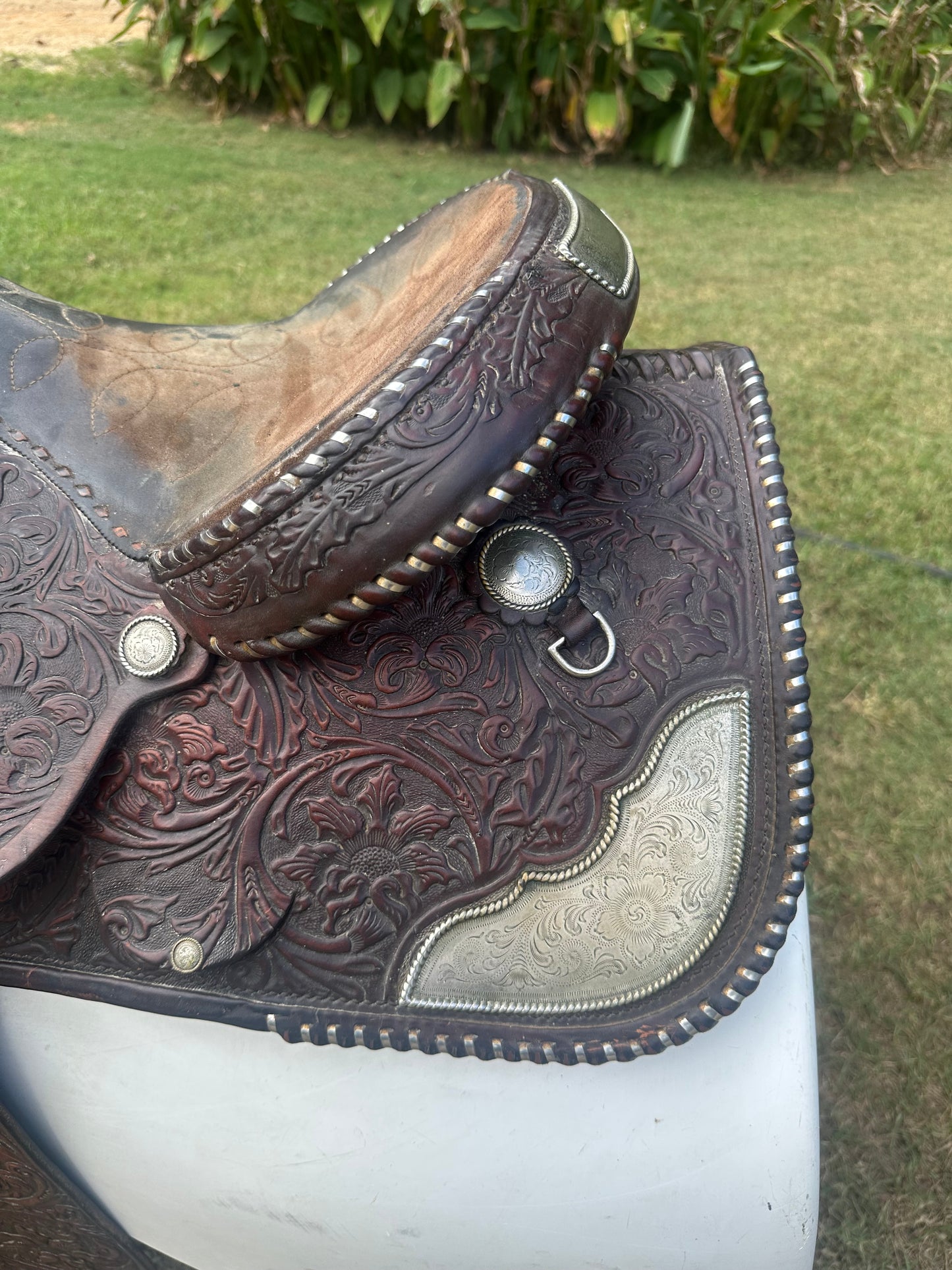 Circle Y Equitation Saddle