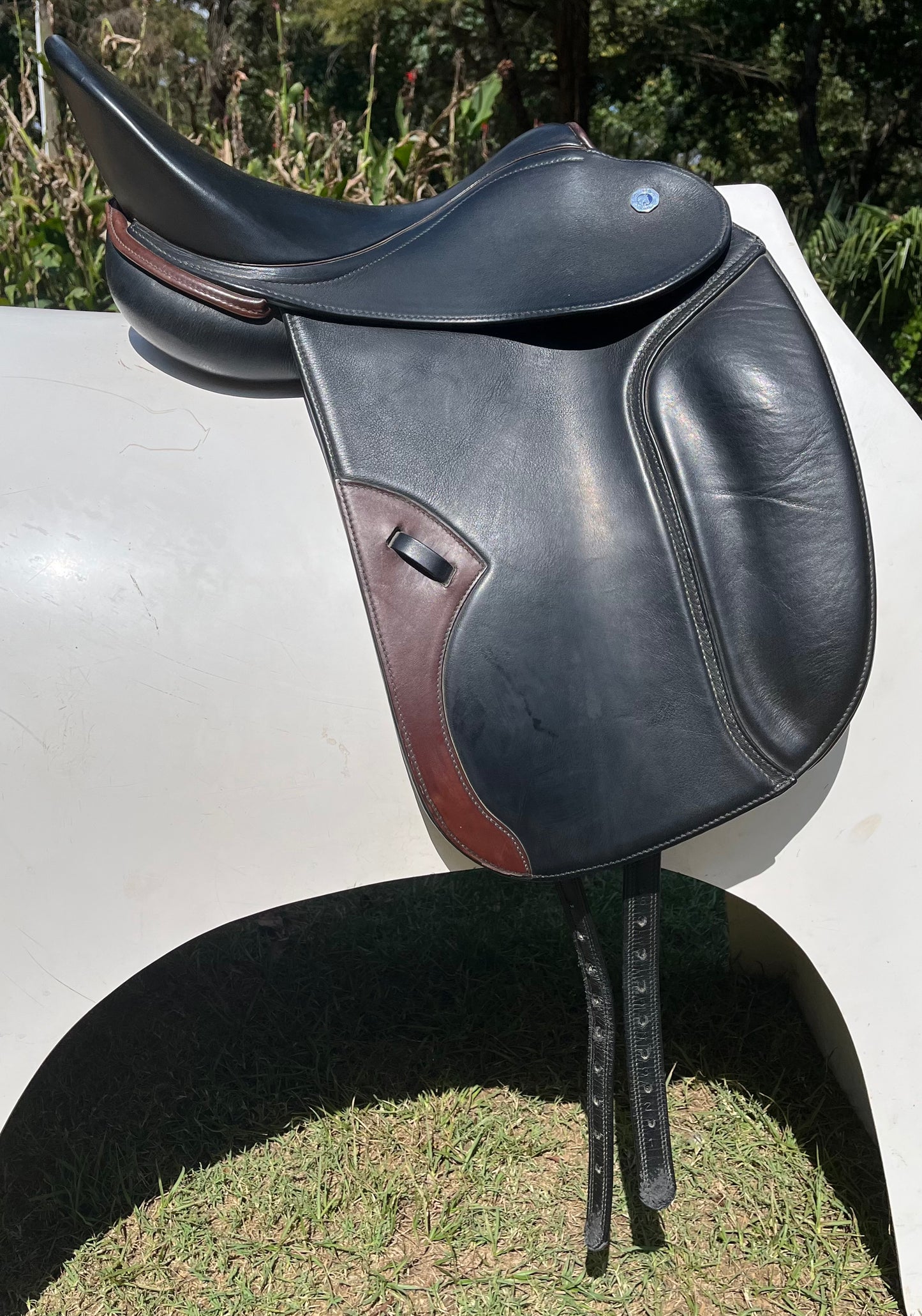 Pegasus Butterfly Bernice Dressage Saddle