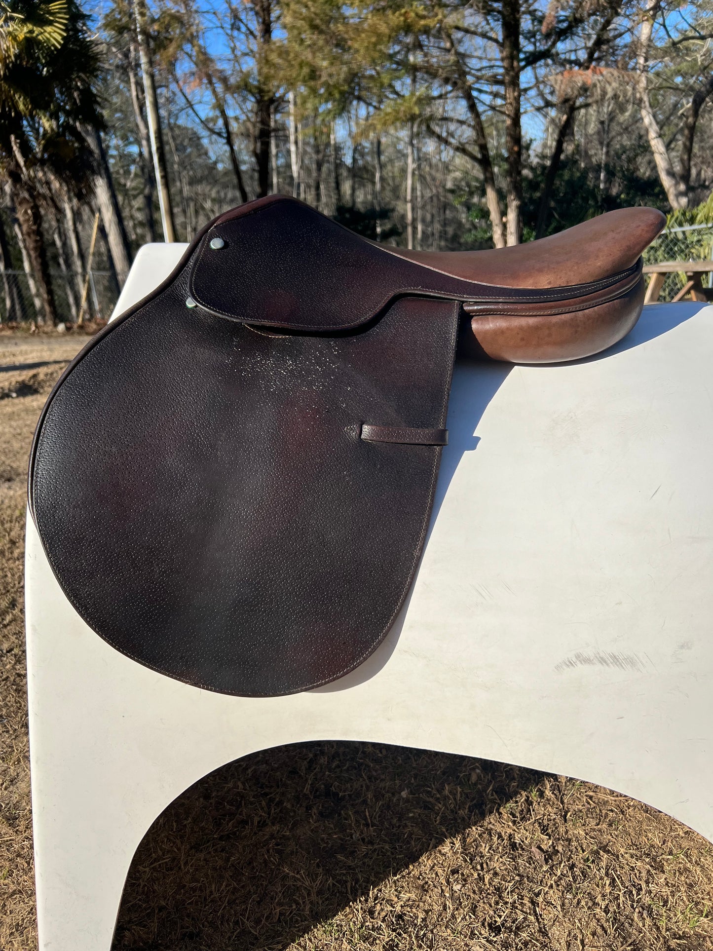 Campbell Close Contact Saddle