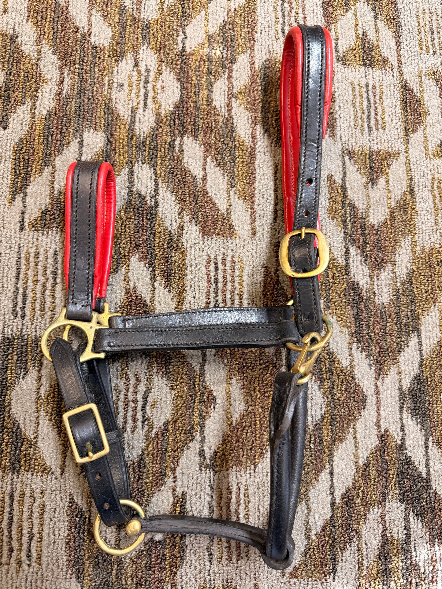 Black and Red Padded Leather Halter