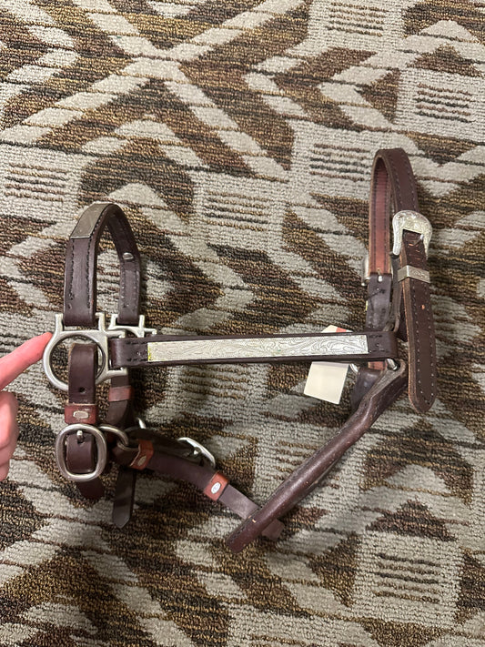 Silver Show Halter