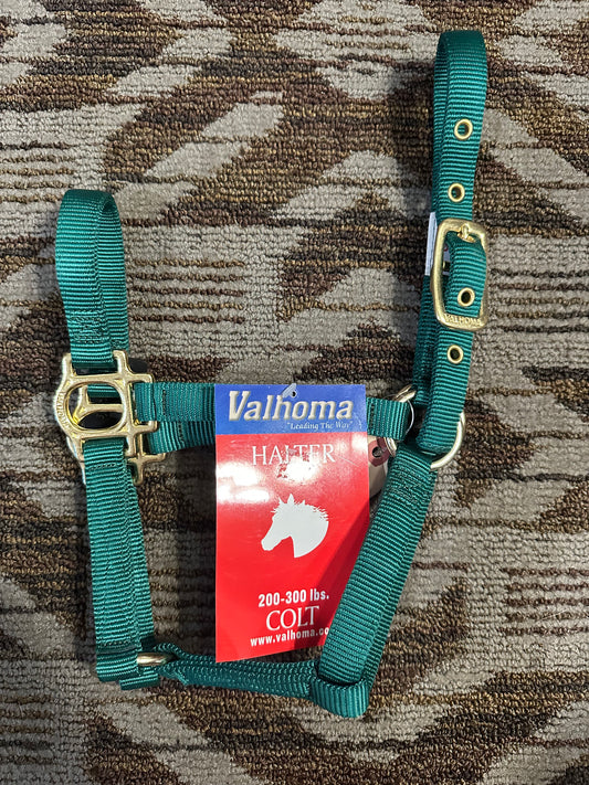 Valhoma Colt Halter