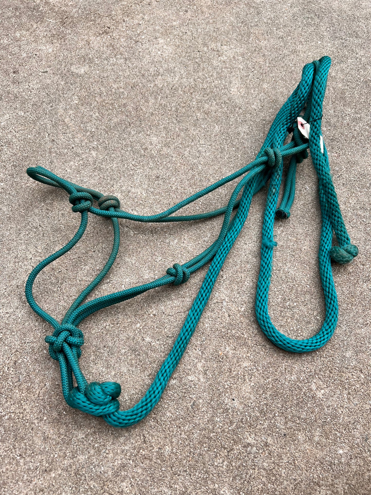 Teal Rope Halter w/ Matching Lead - Standard