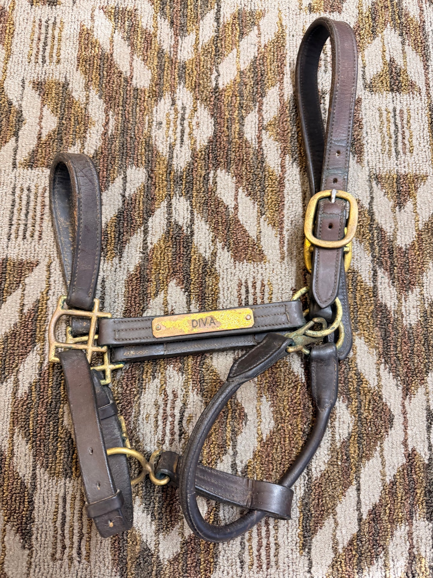 Oversized Leather Halter w/ Nameplate