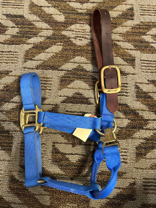 Breakaway Accent Halter w/ Clip