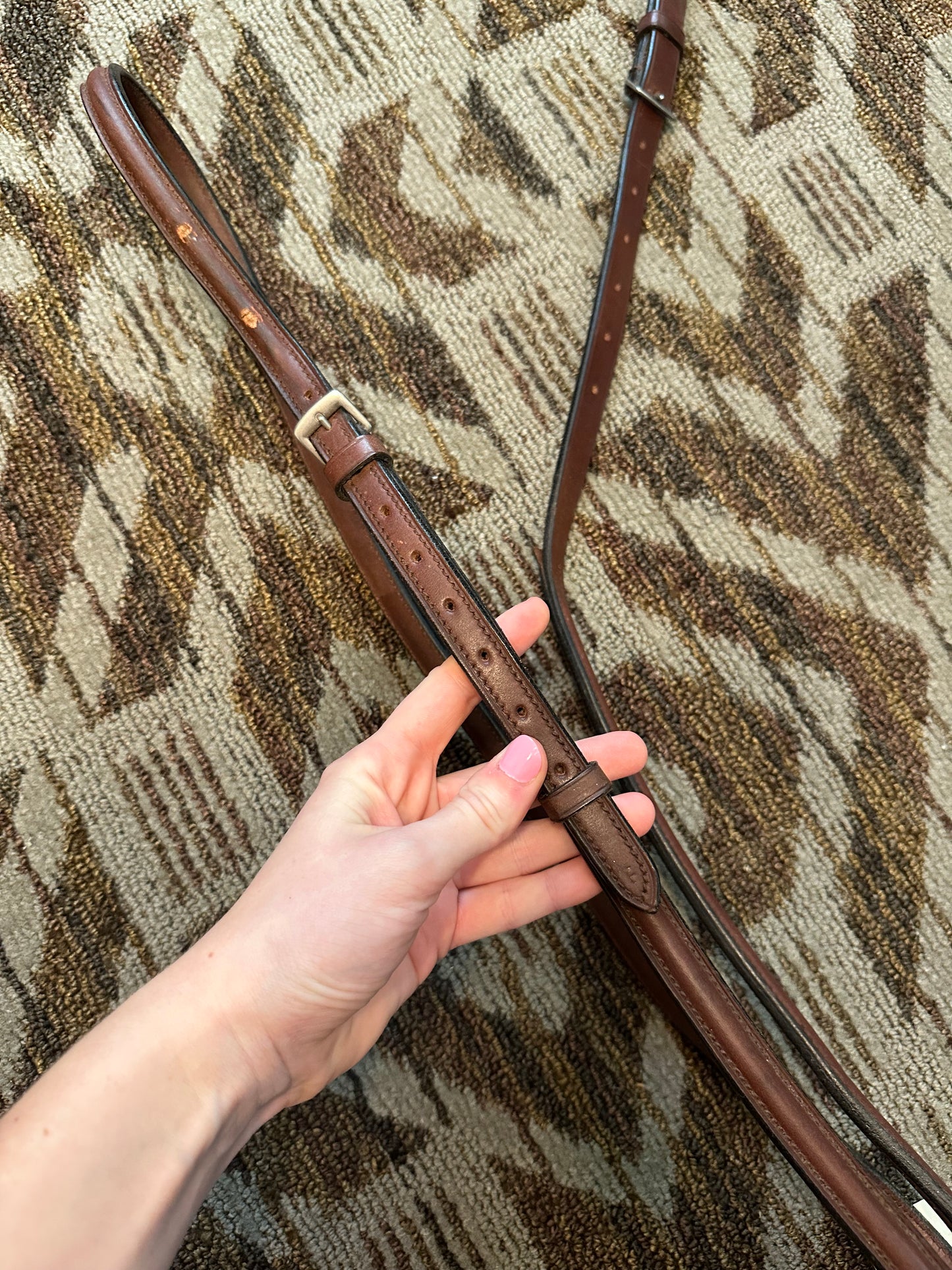 Brown Standing Martingale