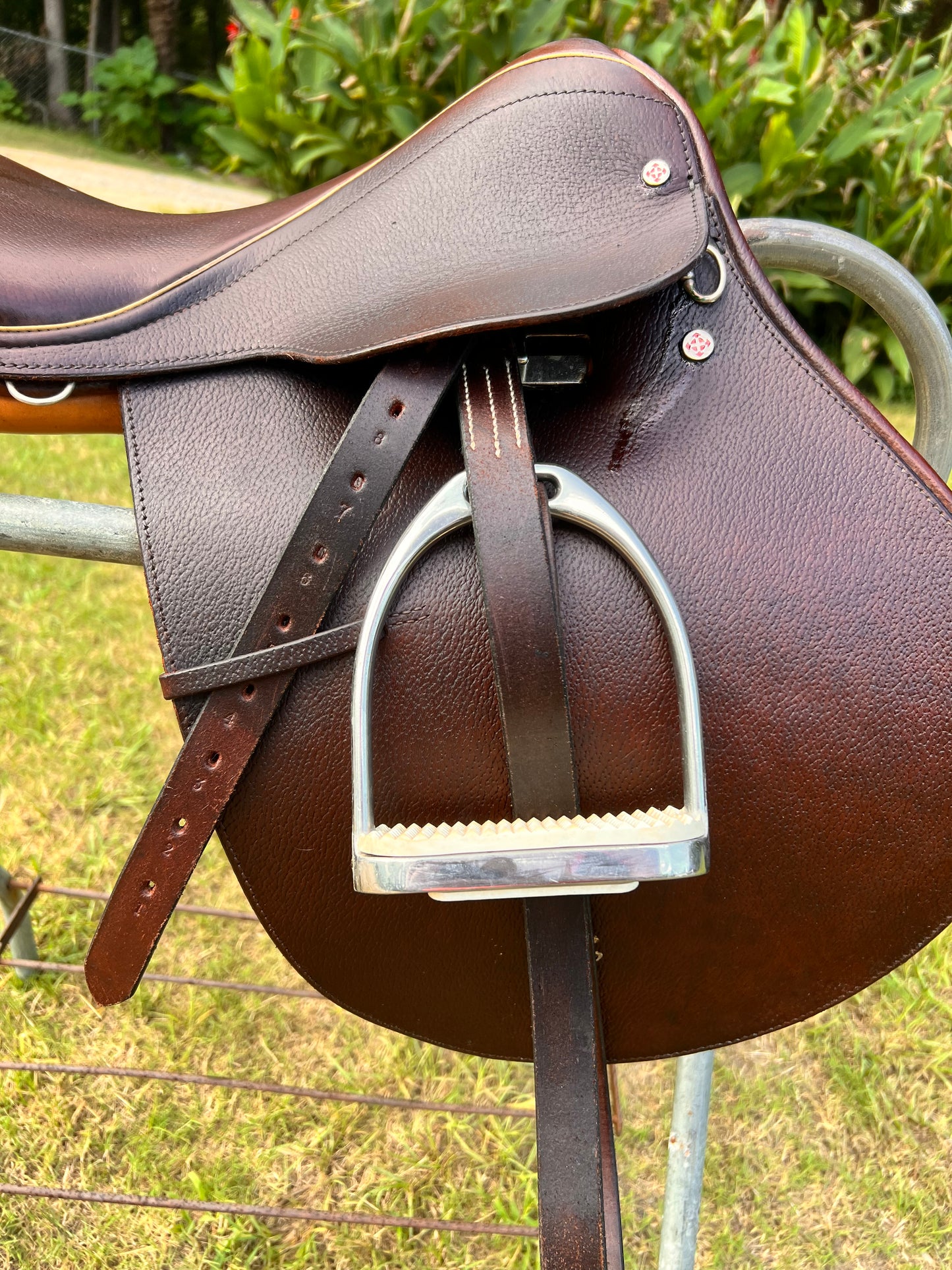 Courbette Derby Close Contact Saddle