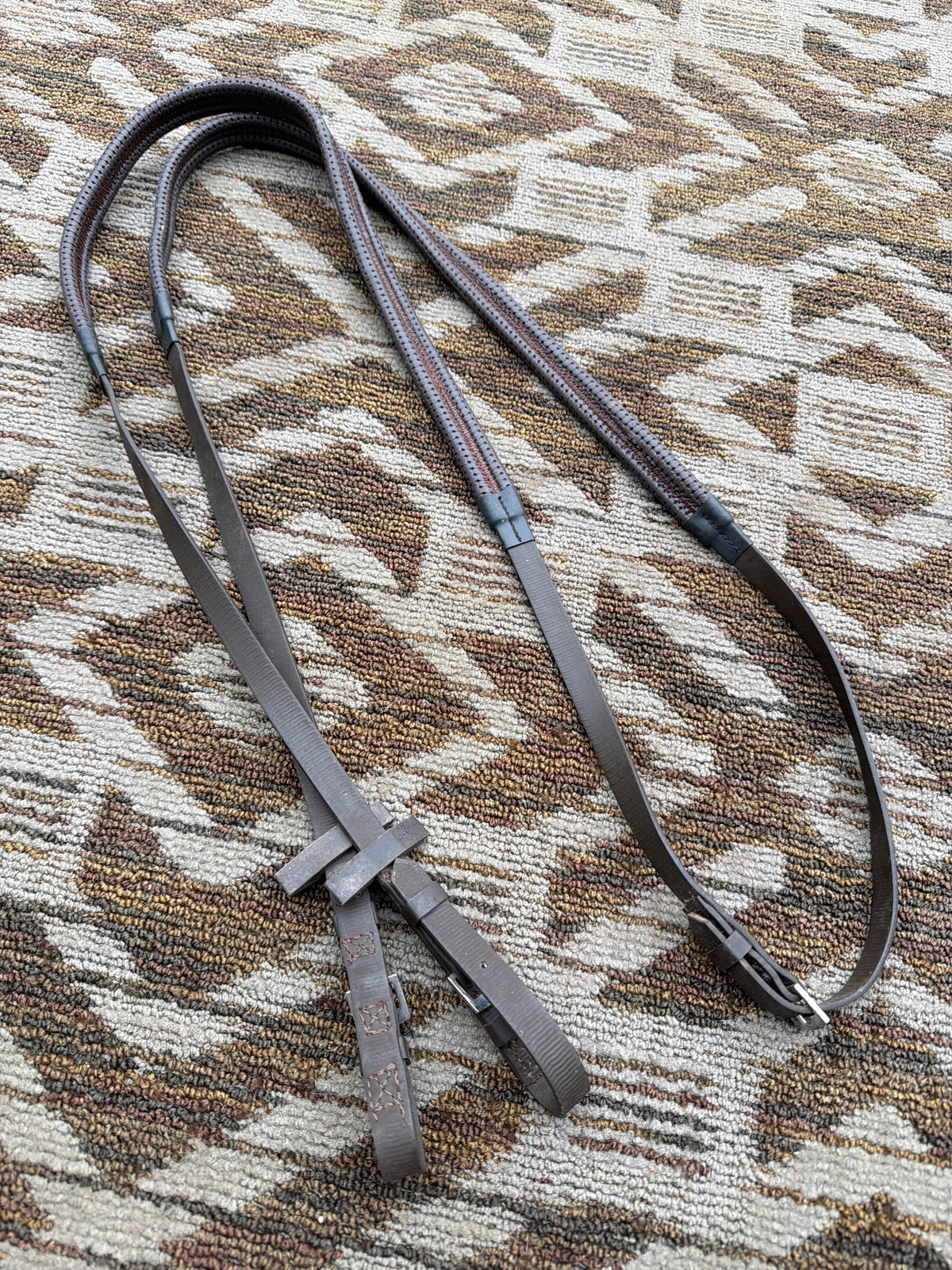 Brown Biothane Reins