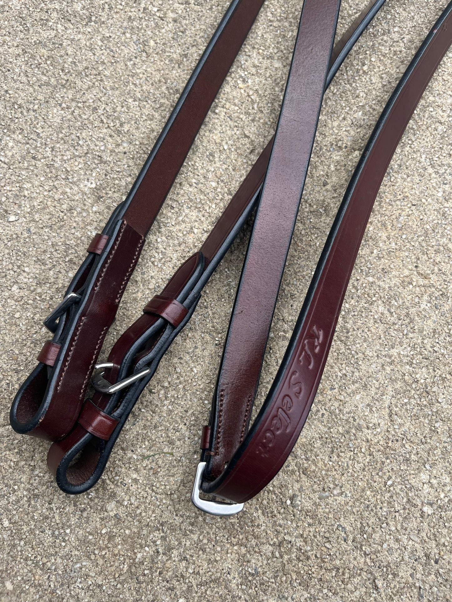 KL Select Webbed Reins