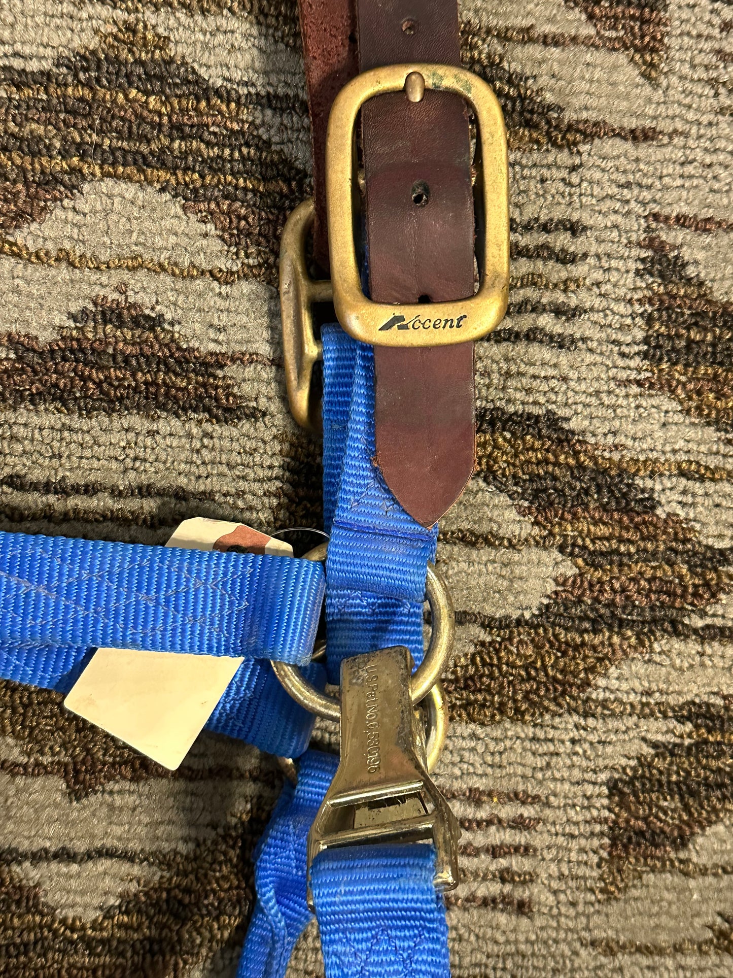 Breakaway Accent Halter w/ Clip
