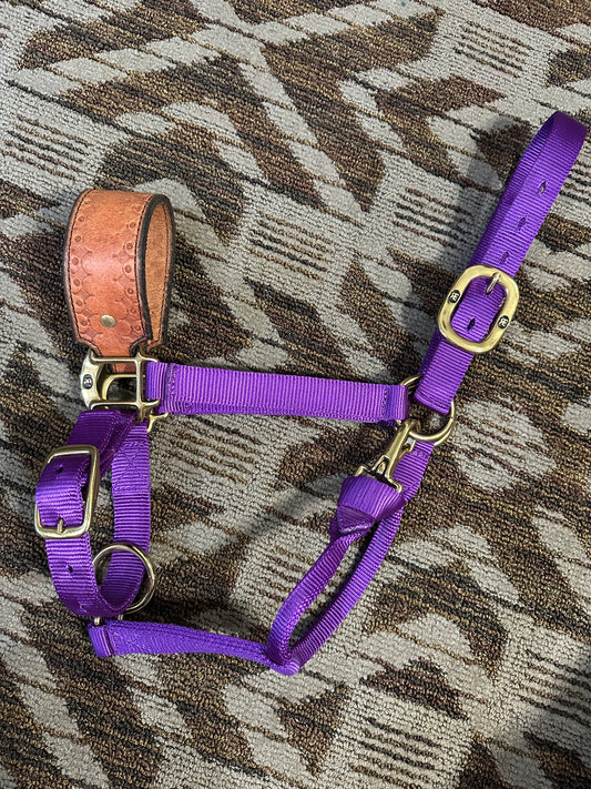 Reinsman Bronc Halter